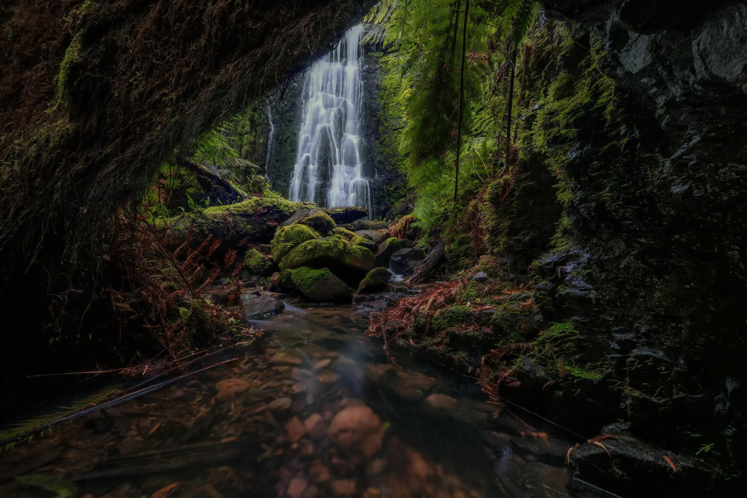 Sanctuary Of Moss | Australia
 Buy Print 