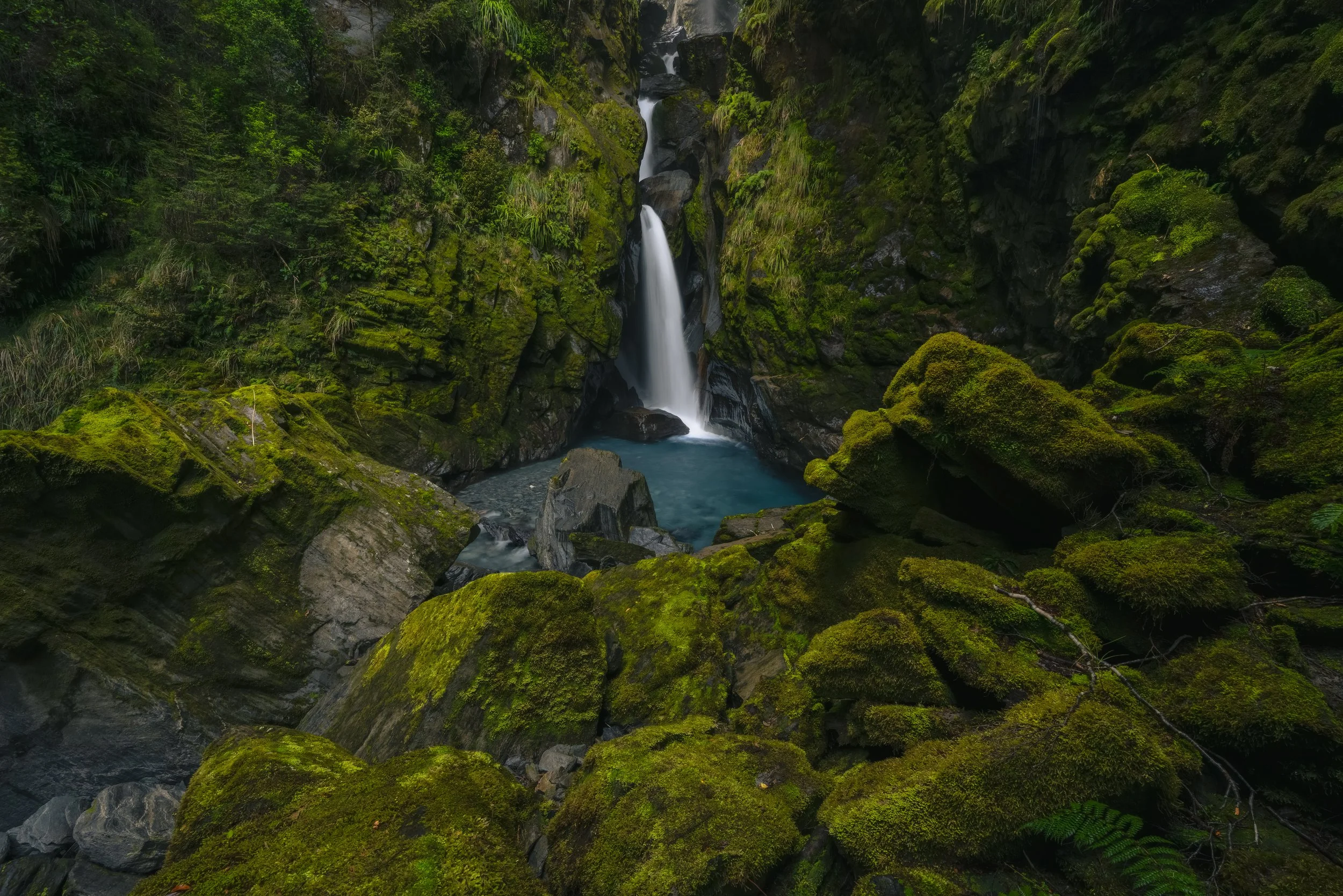 Matomato, New Zealand.jpg