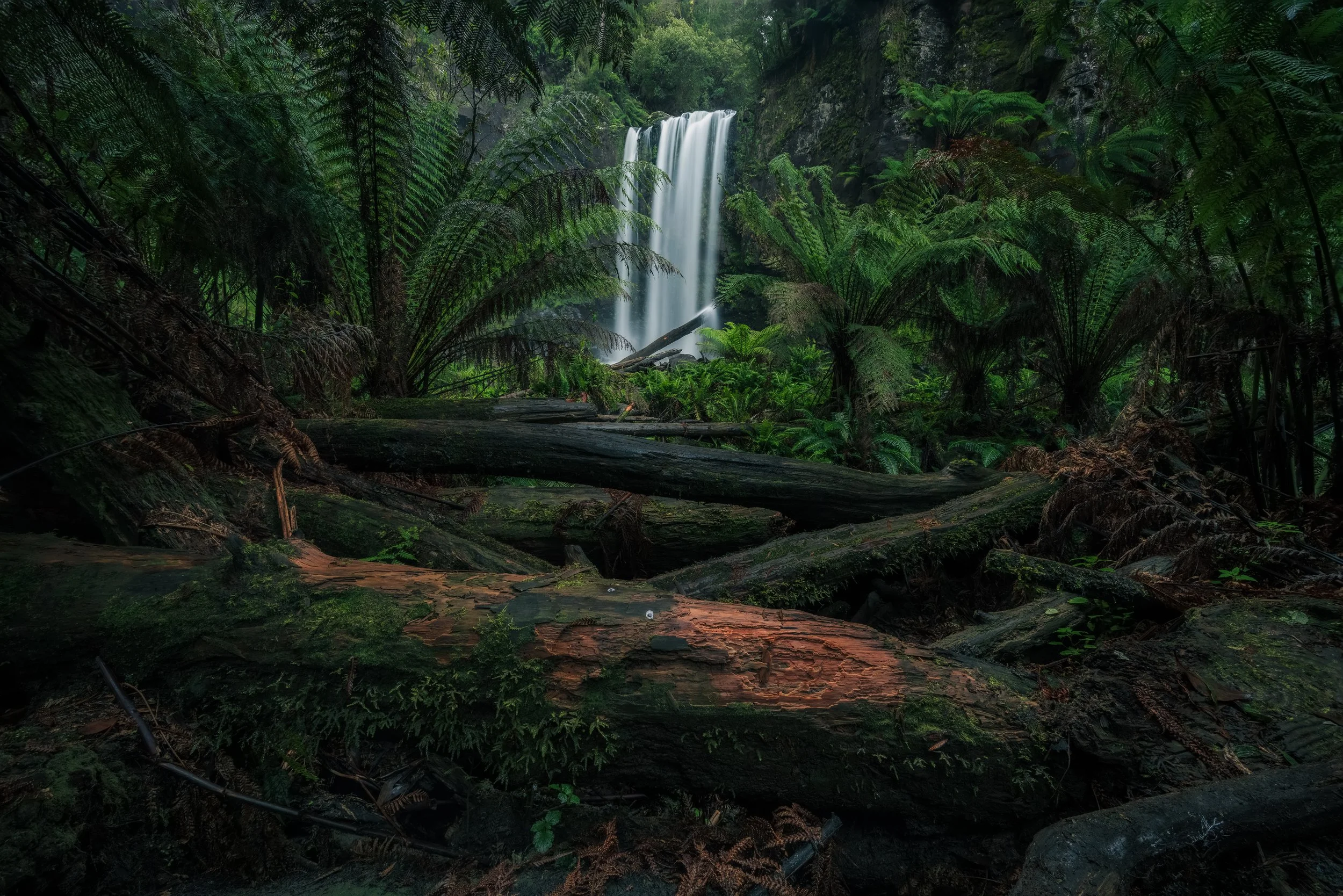 Lushy Frame, Australia.jpg