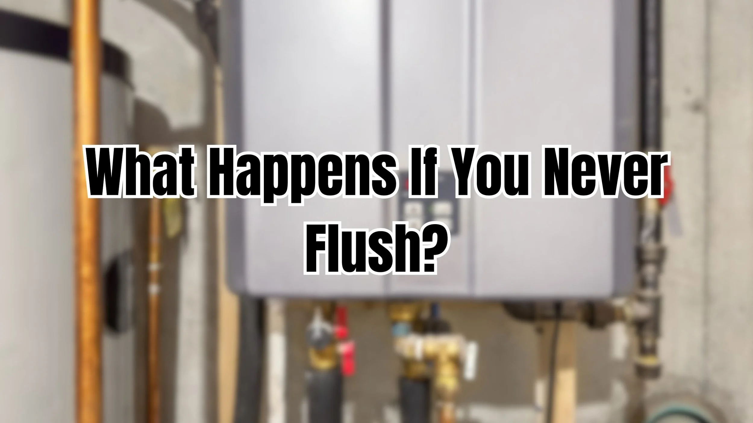 What Really Happens If You Never Flush a Tankless Water Heater