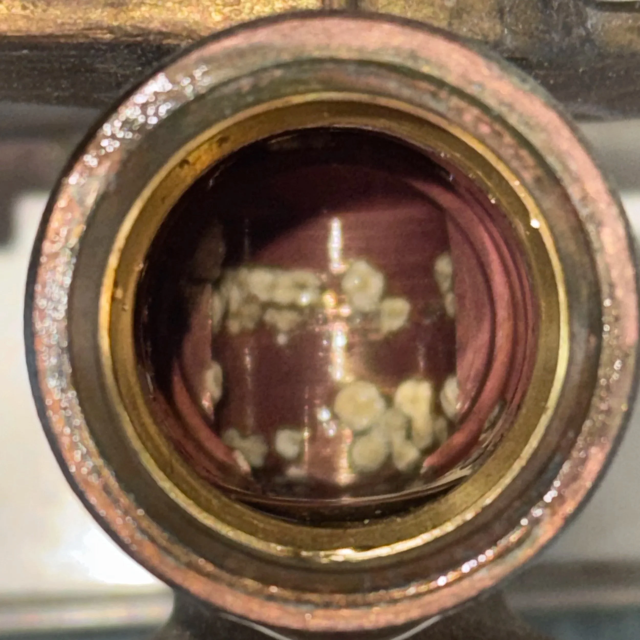 “Internal view of a Rinnai tankless heat exchanger showing calcium and mineral scale accumulation.”