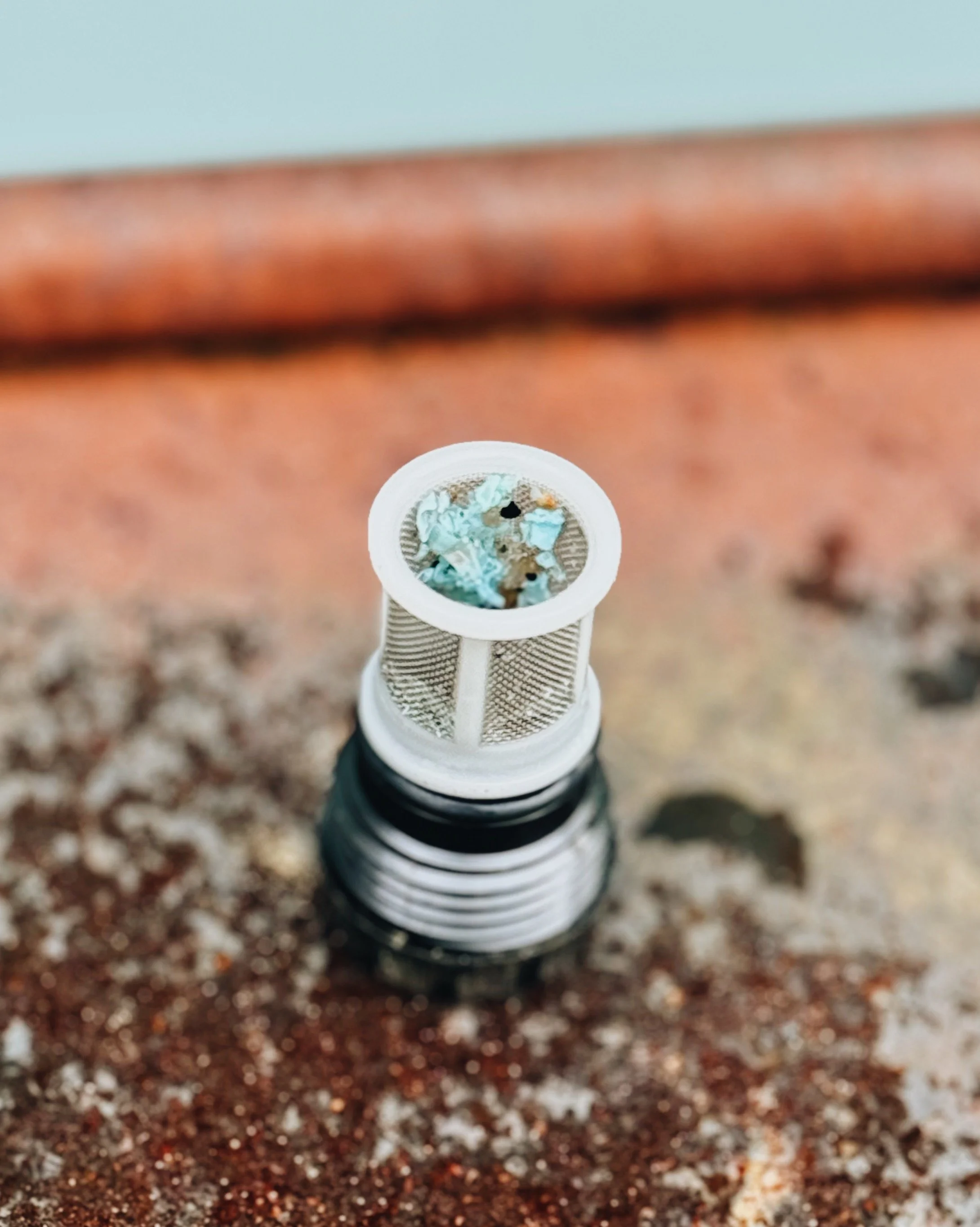 Rinnai tankless water heater inlet filter clogged with hard water scale and debris, common in Lebanon, TN homes.