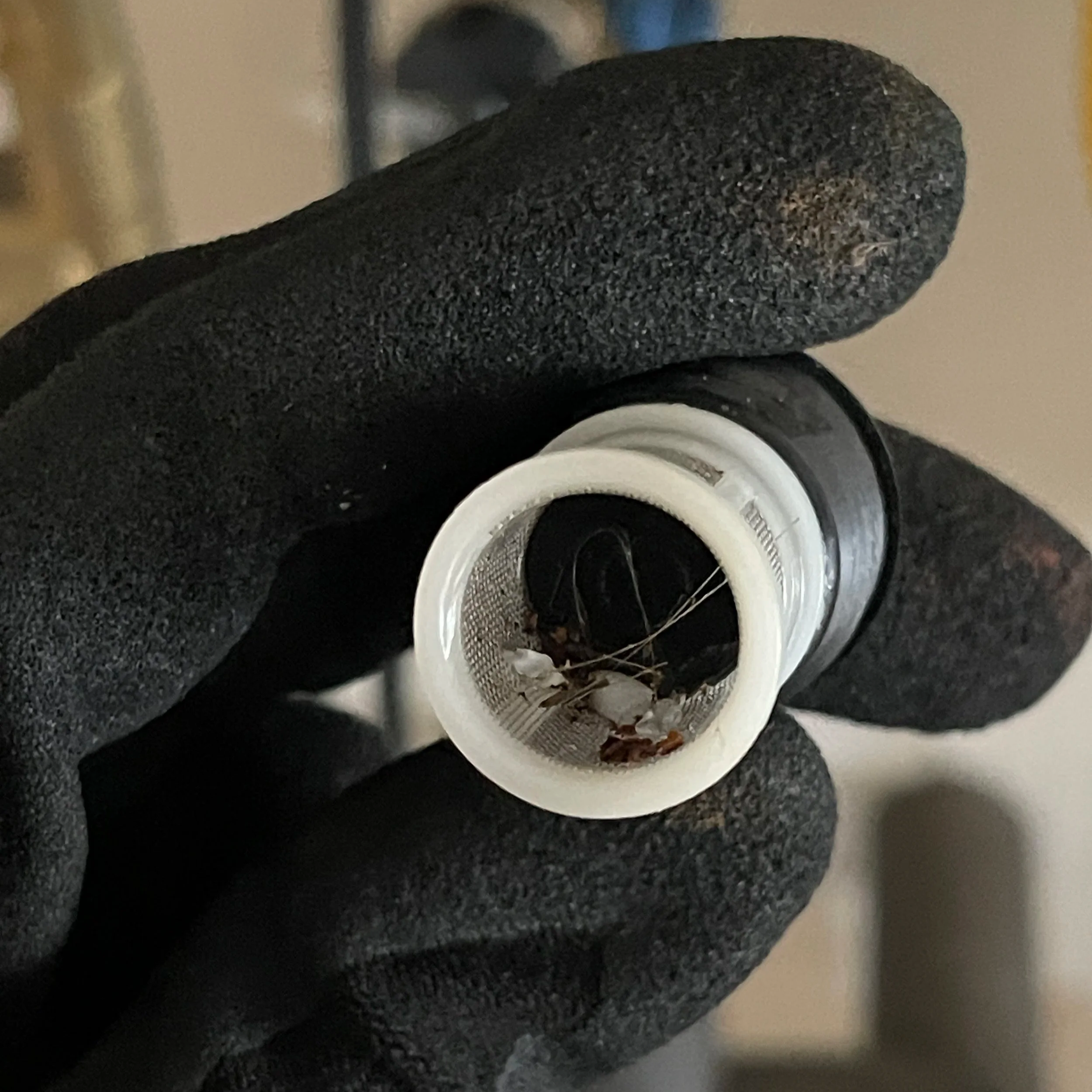 “Clogged Rinnai tankless water heater inlet filter with hard-water debris removed during annual flush at flowetech tankless in gallatin tn