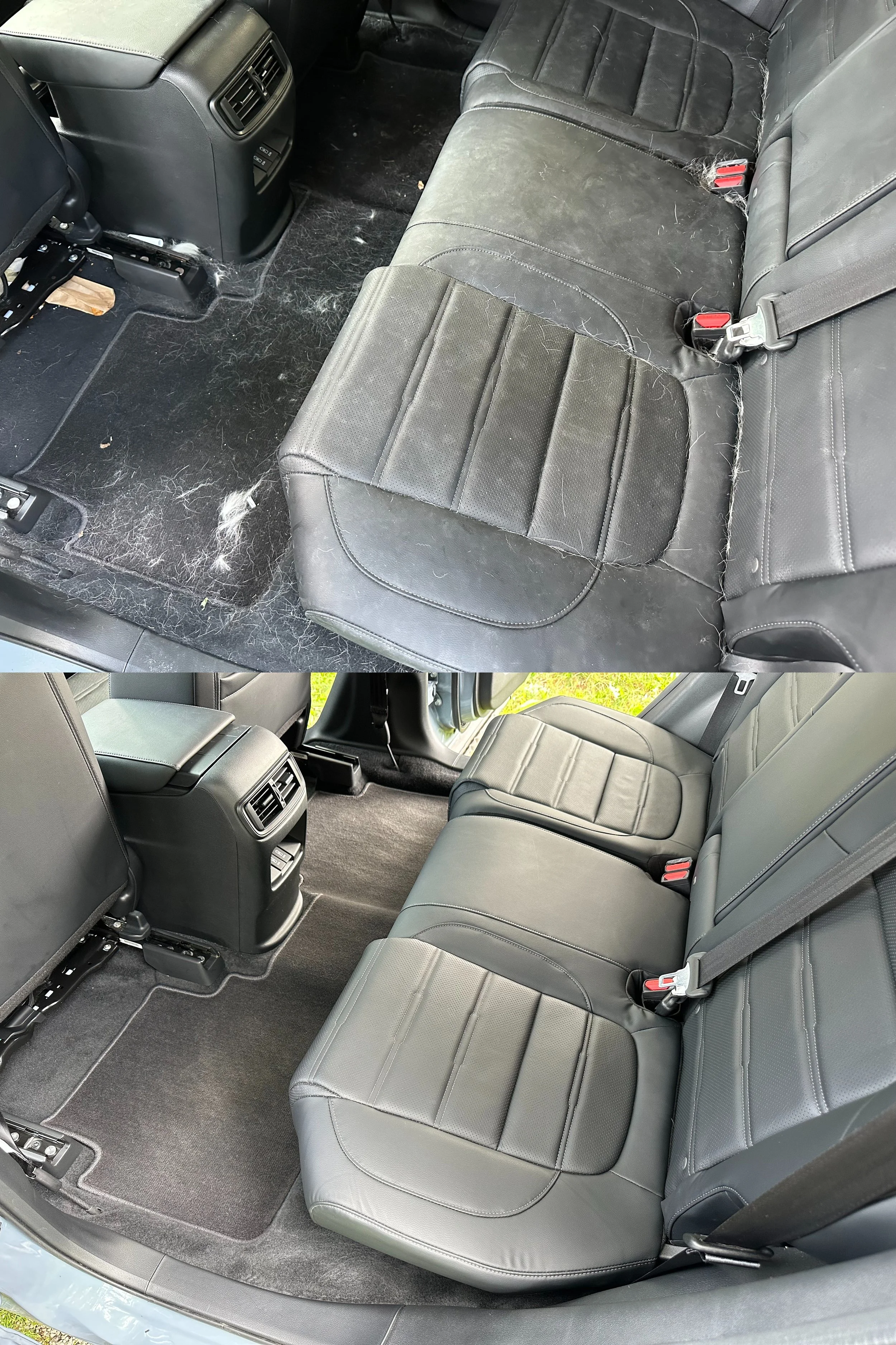 Pet Hair Removal Car Detailing Stow OH