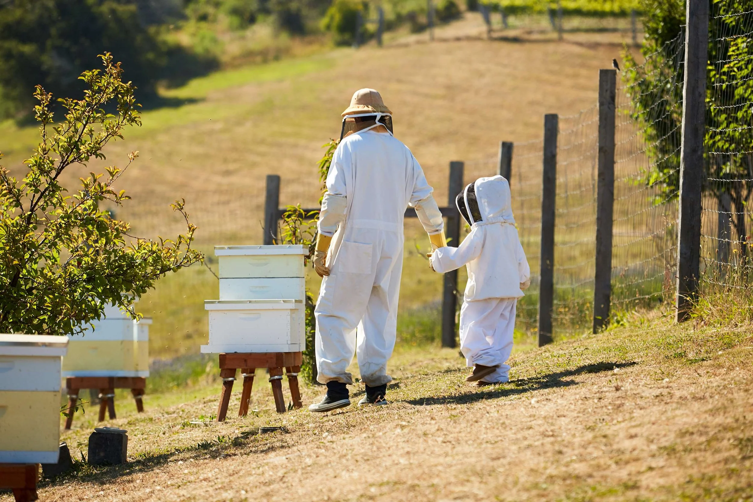 Carmel Valley Beekeeping.jpg