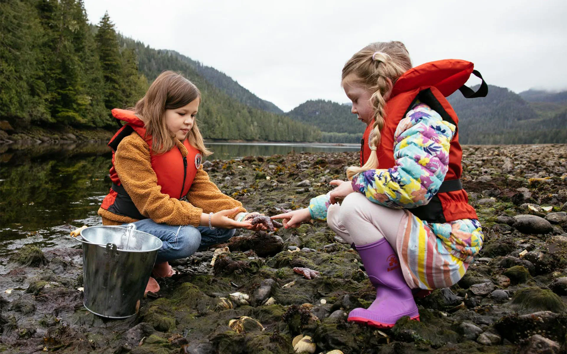 Nimmo Kids Foraging.png