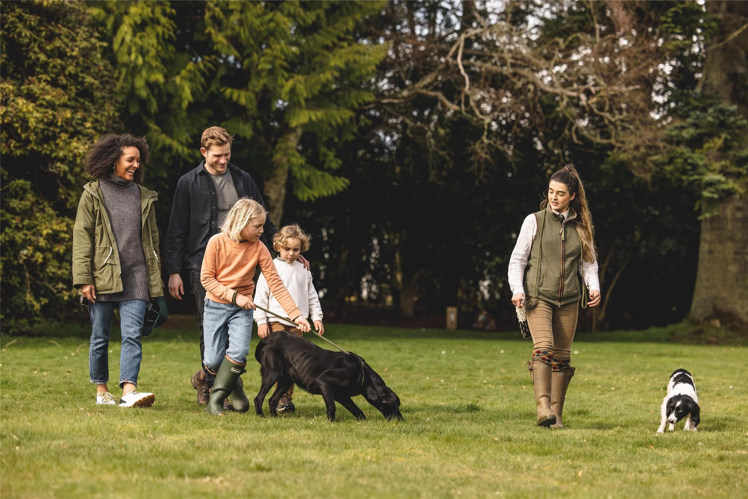 Gleneagles Gundog Experience.jpg