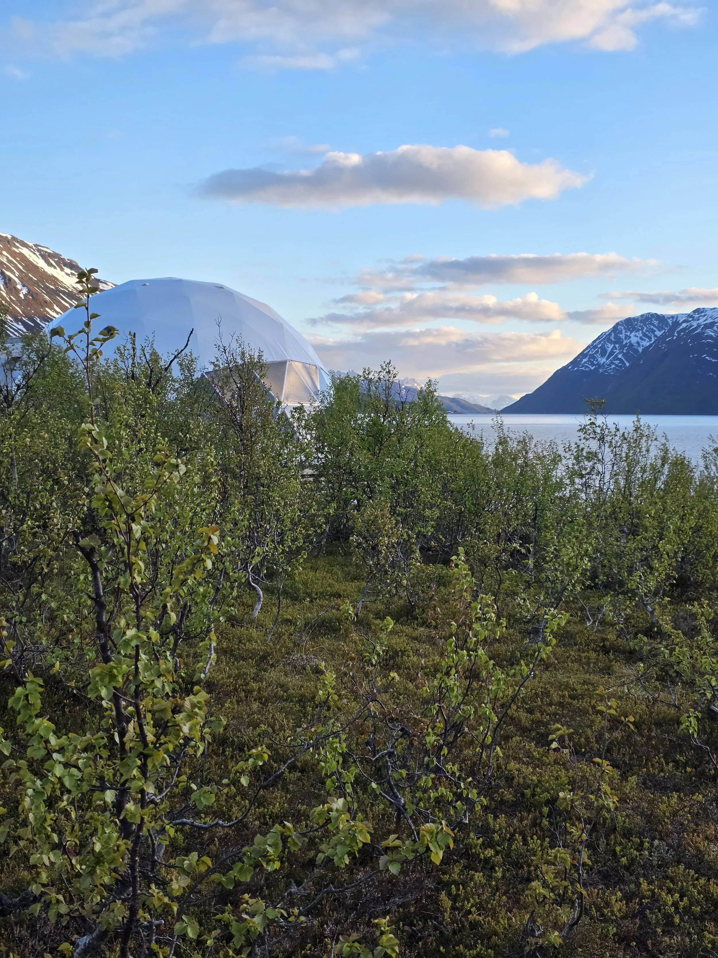 Isbreen Igloo Exterior.jpg