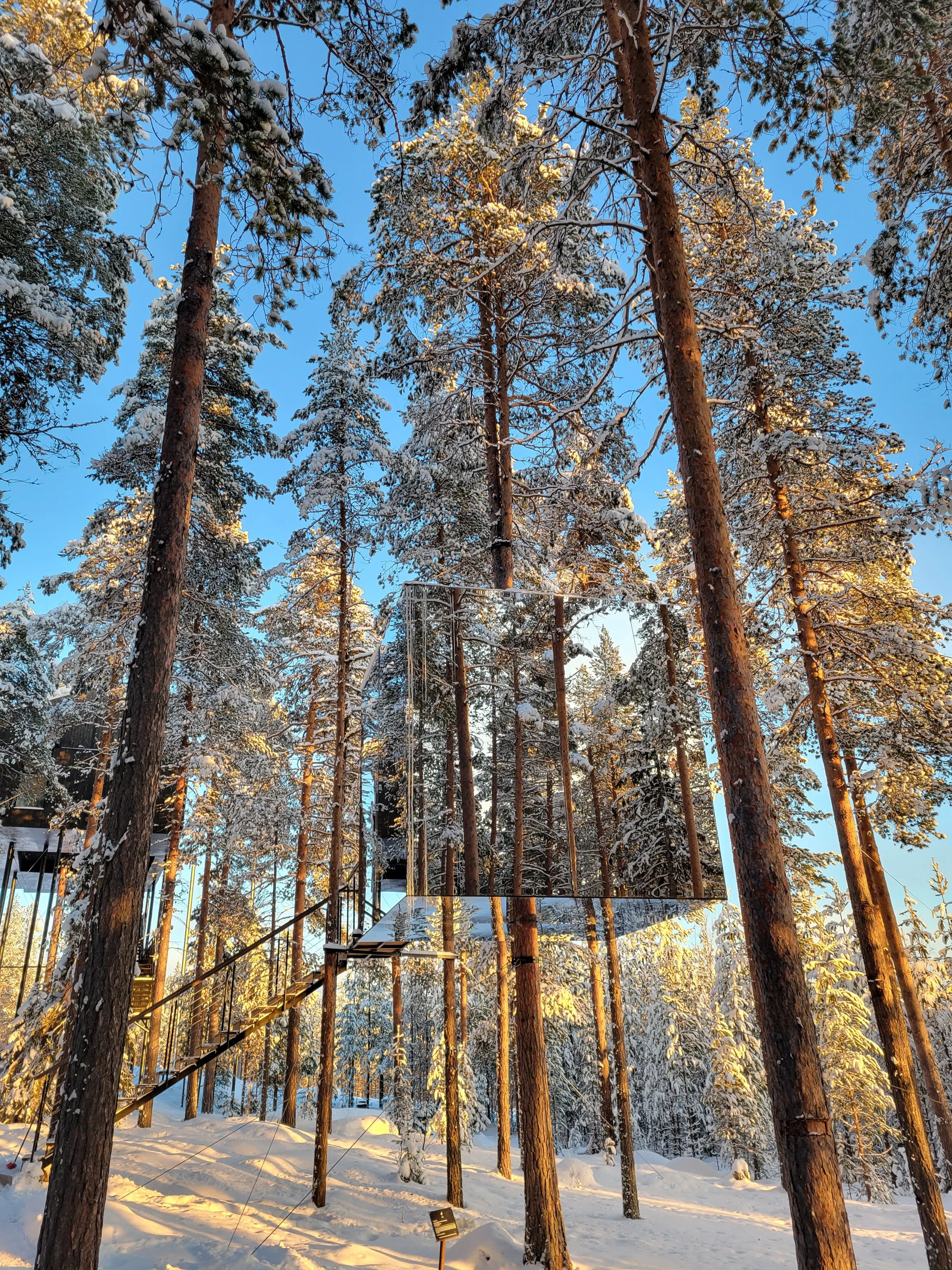 Treehotel Mirror Cube.jpg