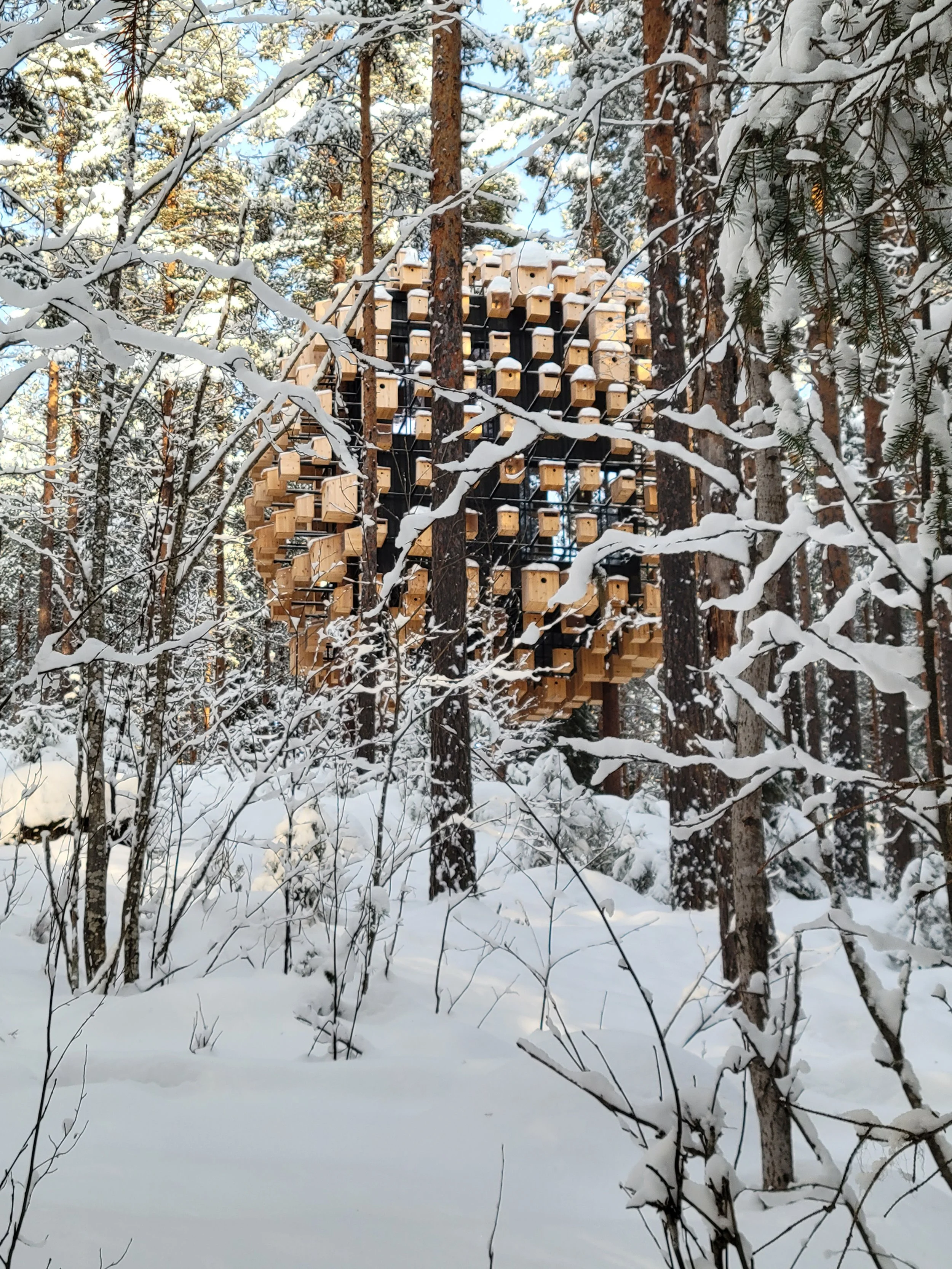 Treehotel Biosphere.jpg