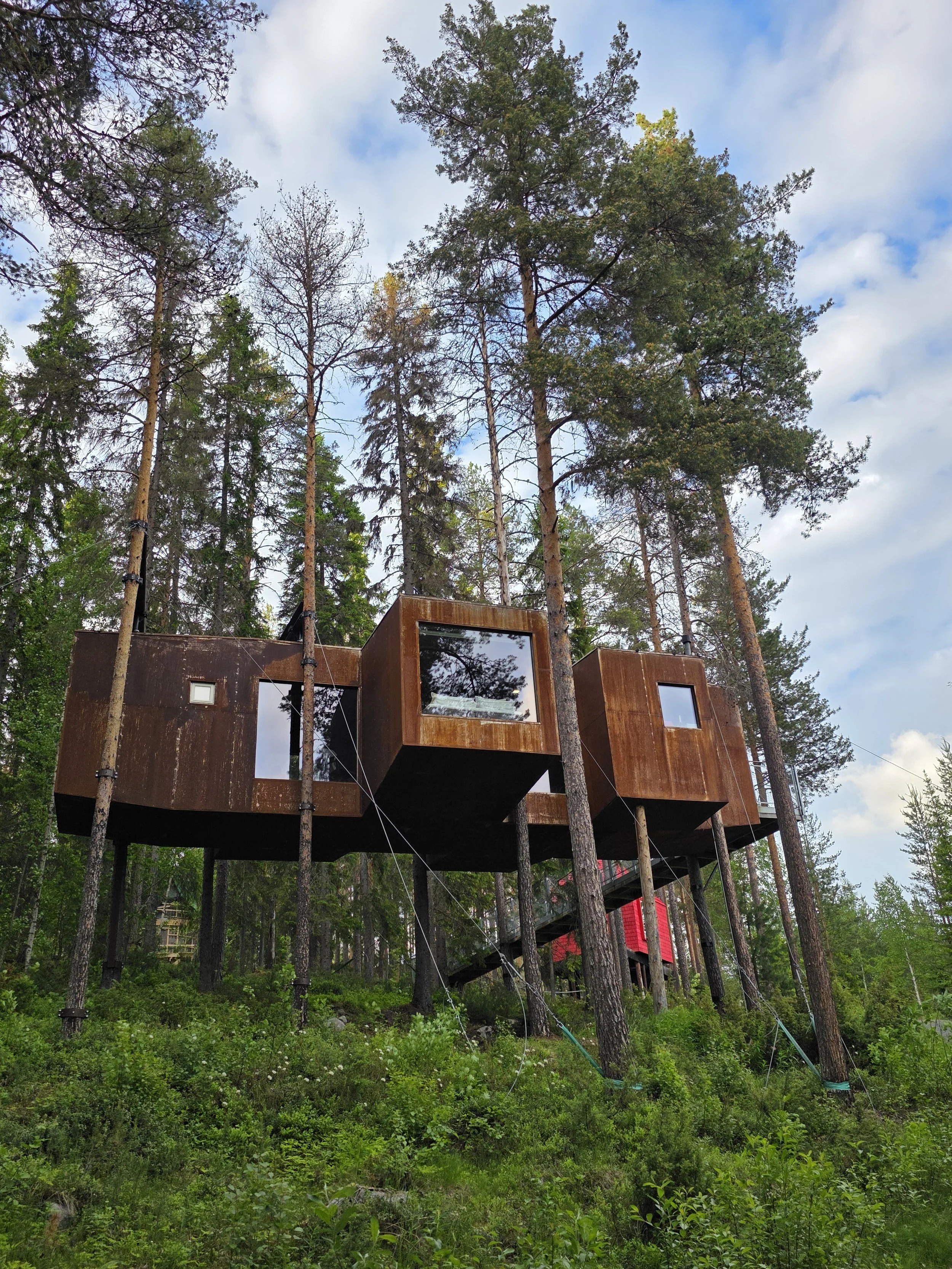 Treehotel Dragonfly Cabin.jpg