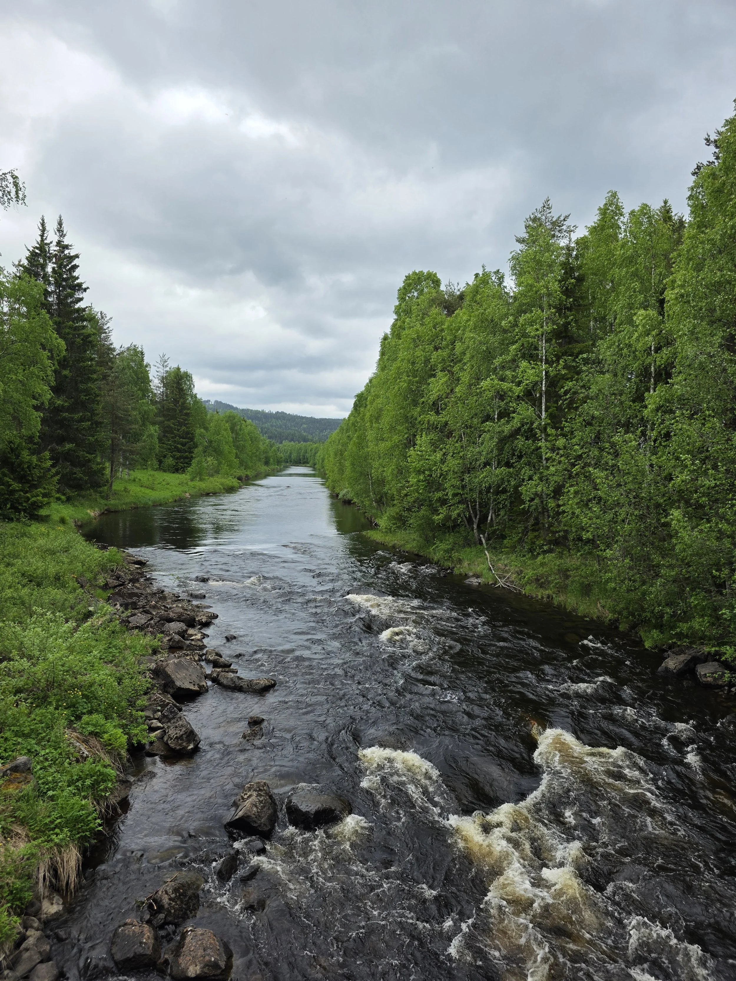 Logger's Lodge River.jpg