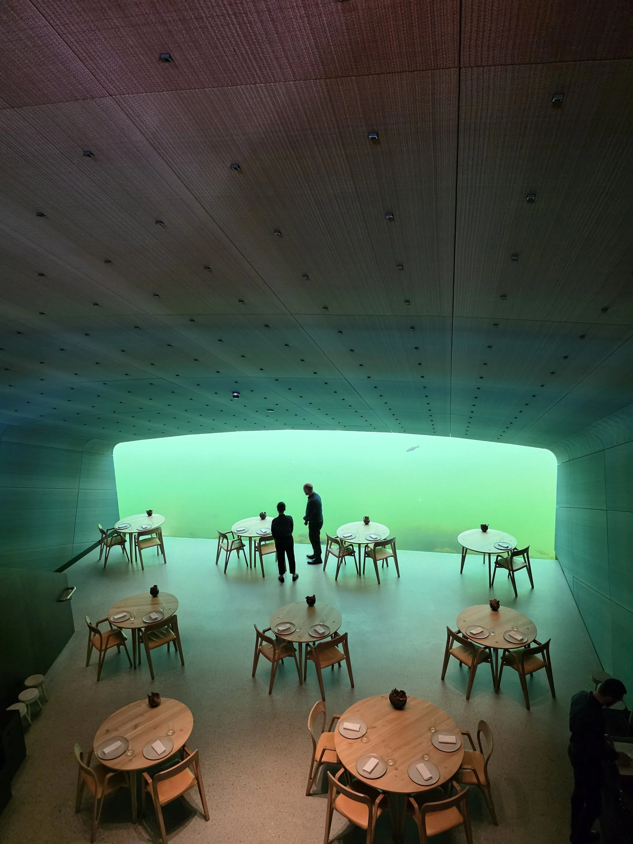 Scandinavia Underwater Dining.jpg