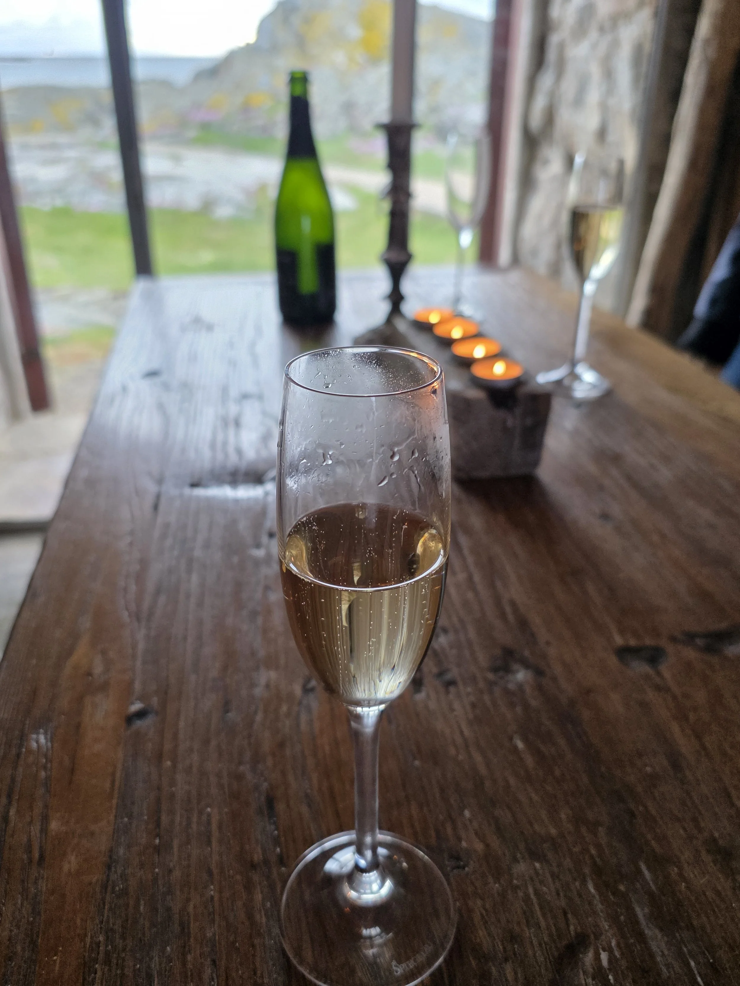 Scandinavia Wine Tasting.jpg