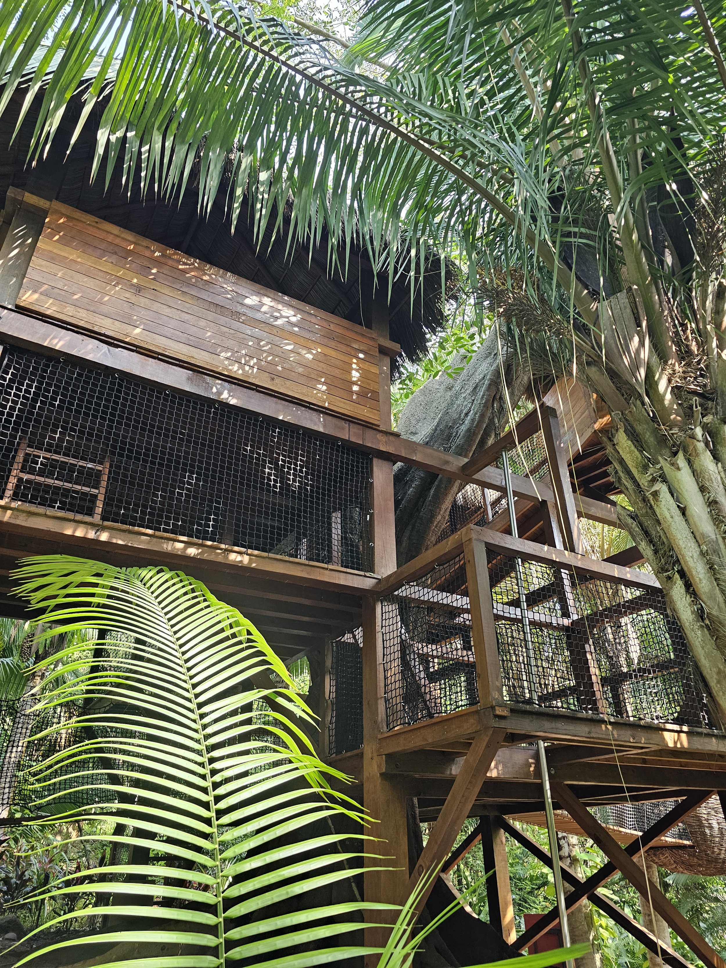 O&O Mandarina Kids Club Treehouse.jpg