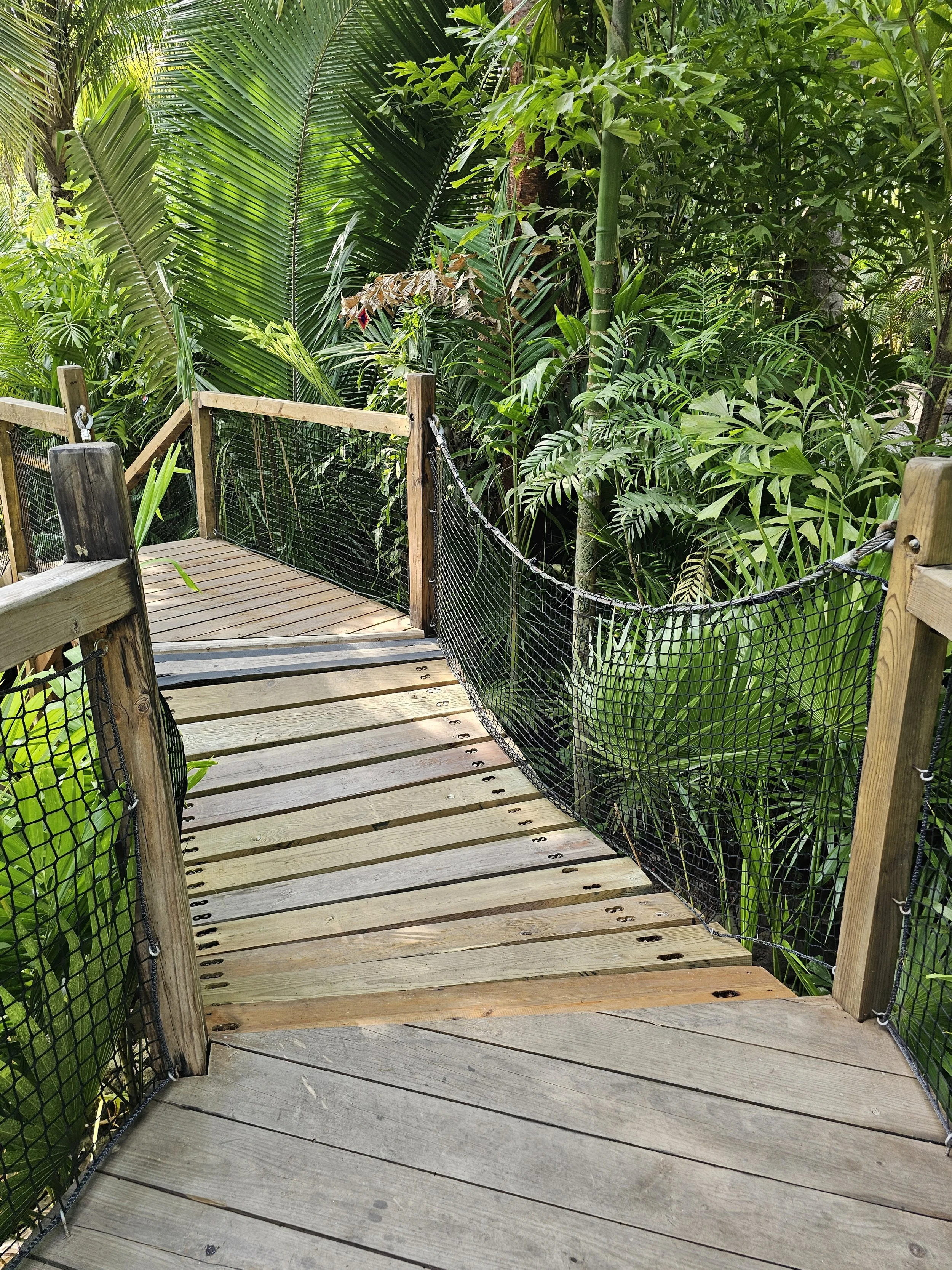 O&O Mandarina Kids Club Hanging Bridge.jpg