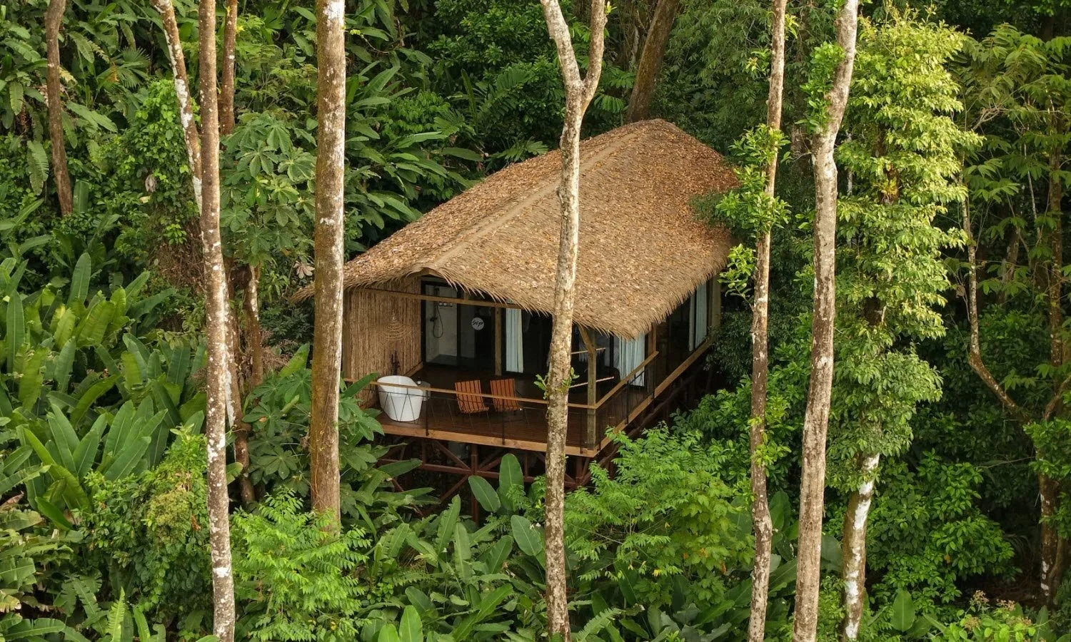 Corcovado Wilderness Treehouses.jpg