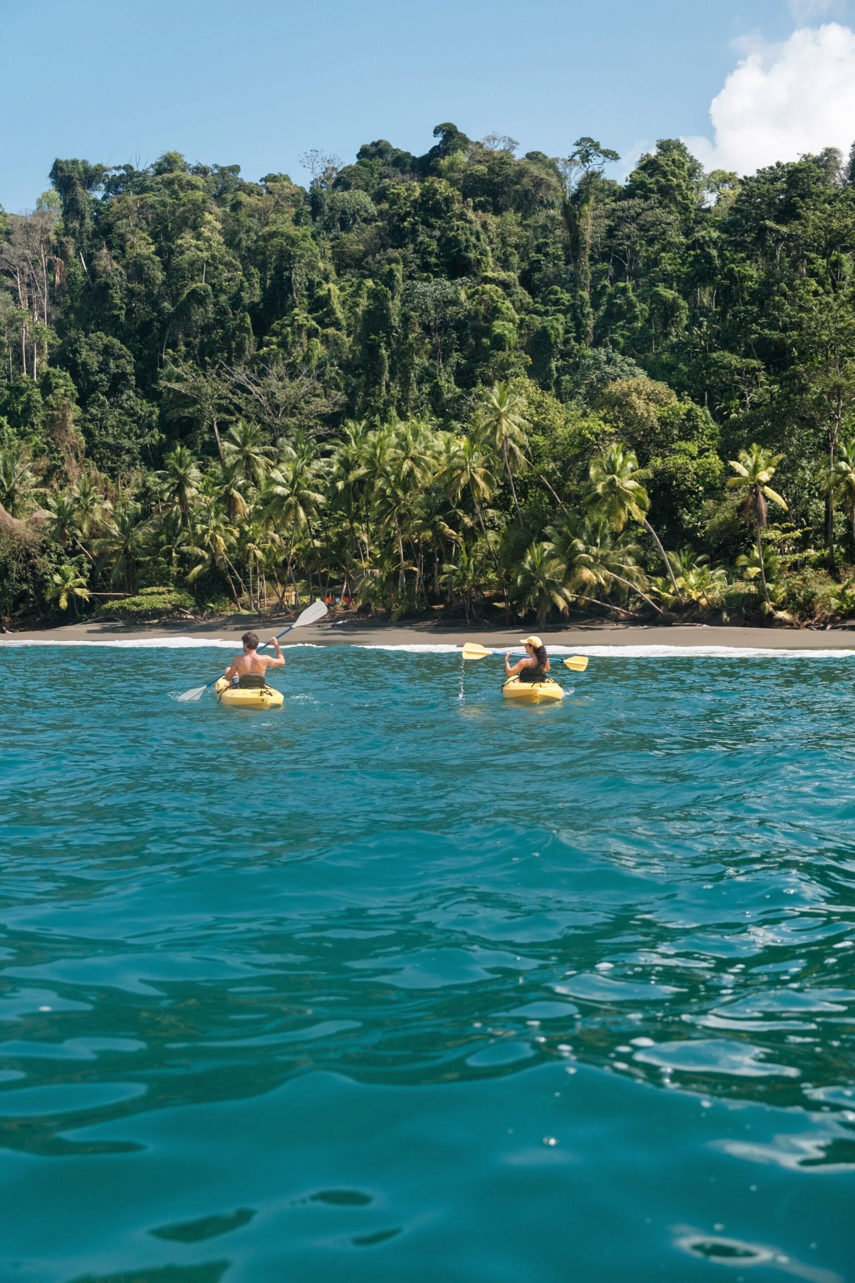 Corcovado Wilderness Beach.jpg