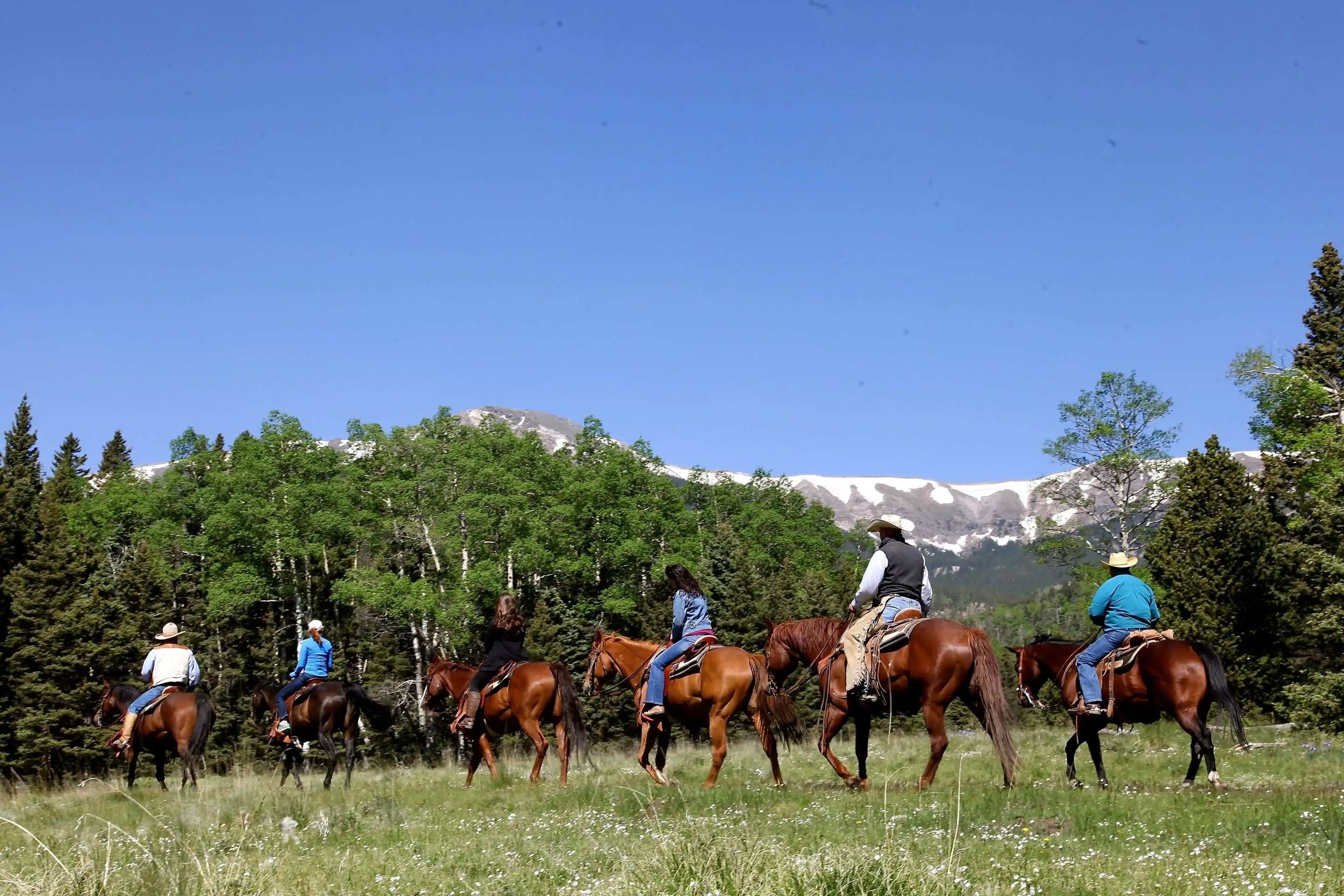 Vermejo Horseback Riding.jpg