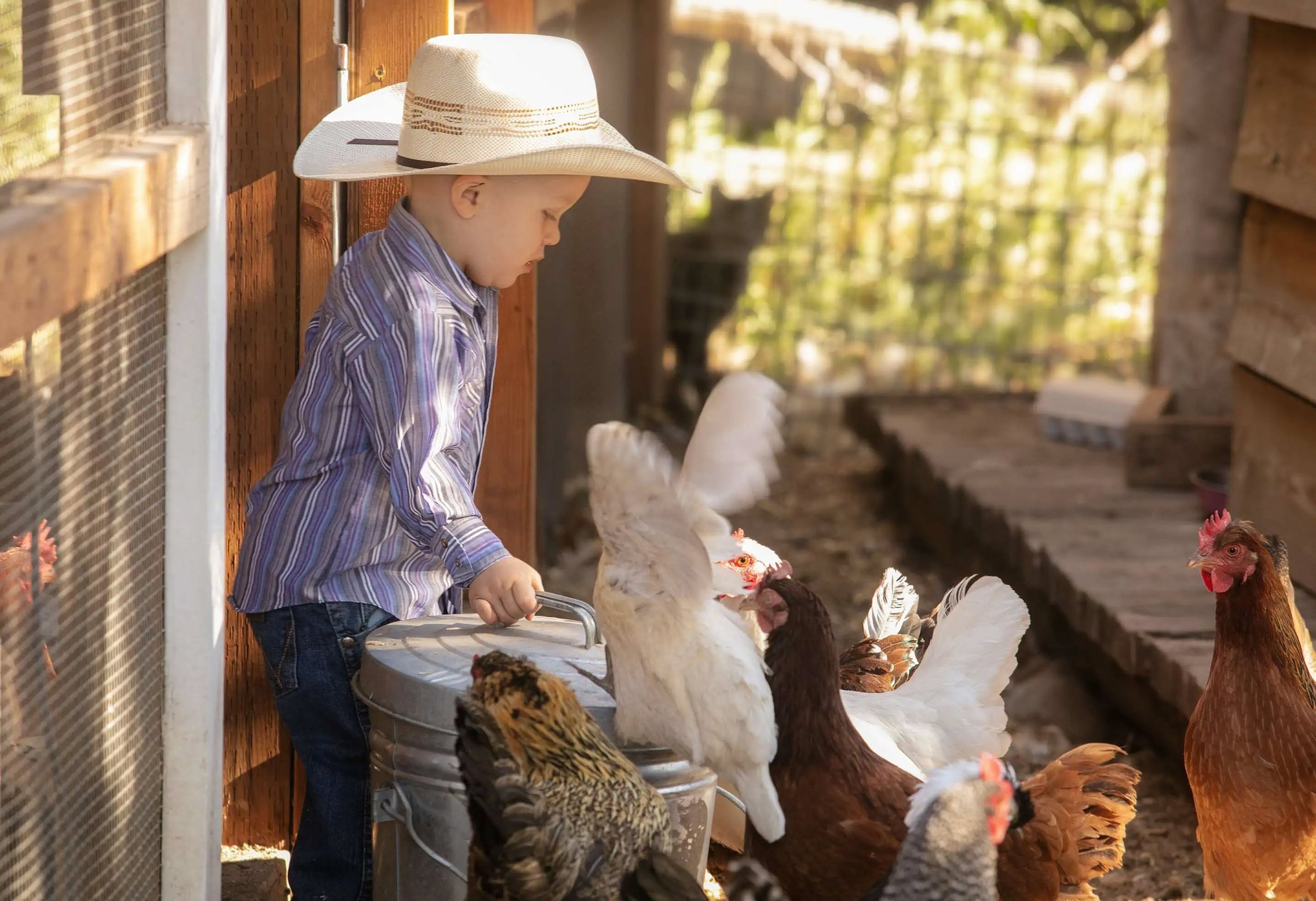 Lodge at Blue Sky Kids Experiences.jpg