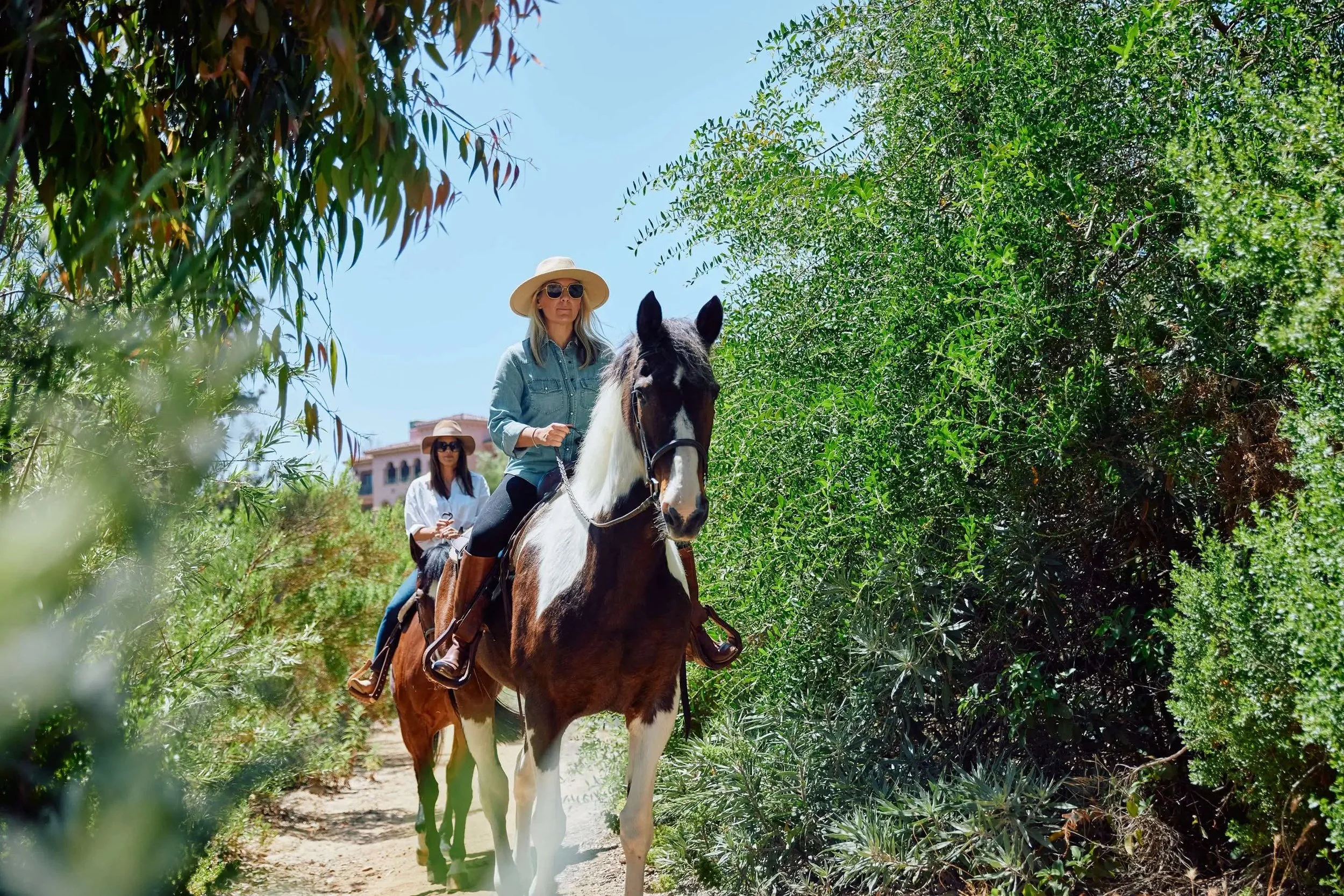 Fairmont Grand Del Mar Horses.jpg