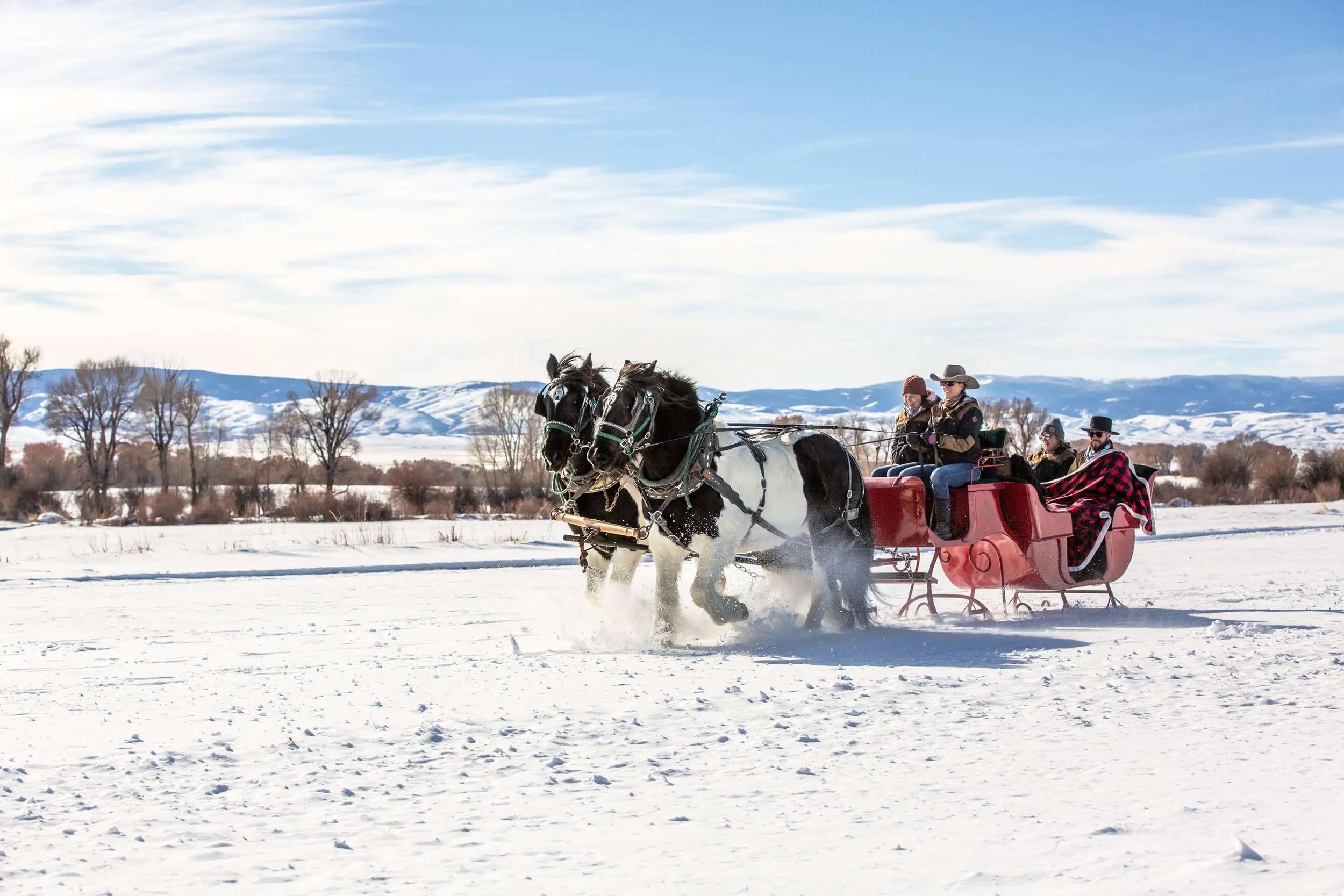 Brusch Creek Ranch Sleigh Rides.jpg