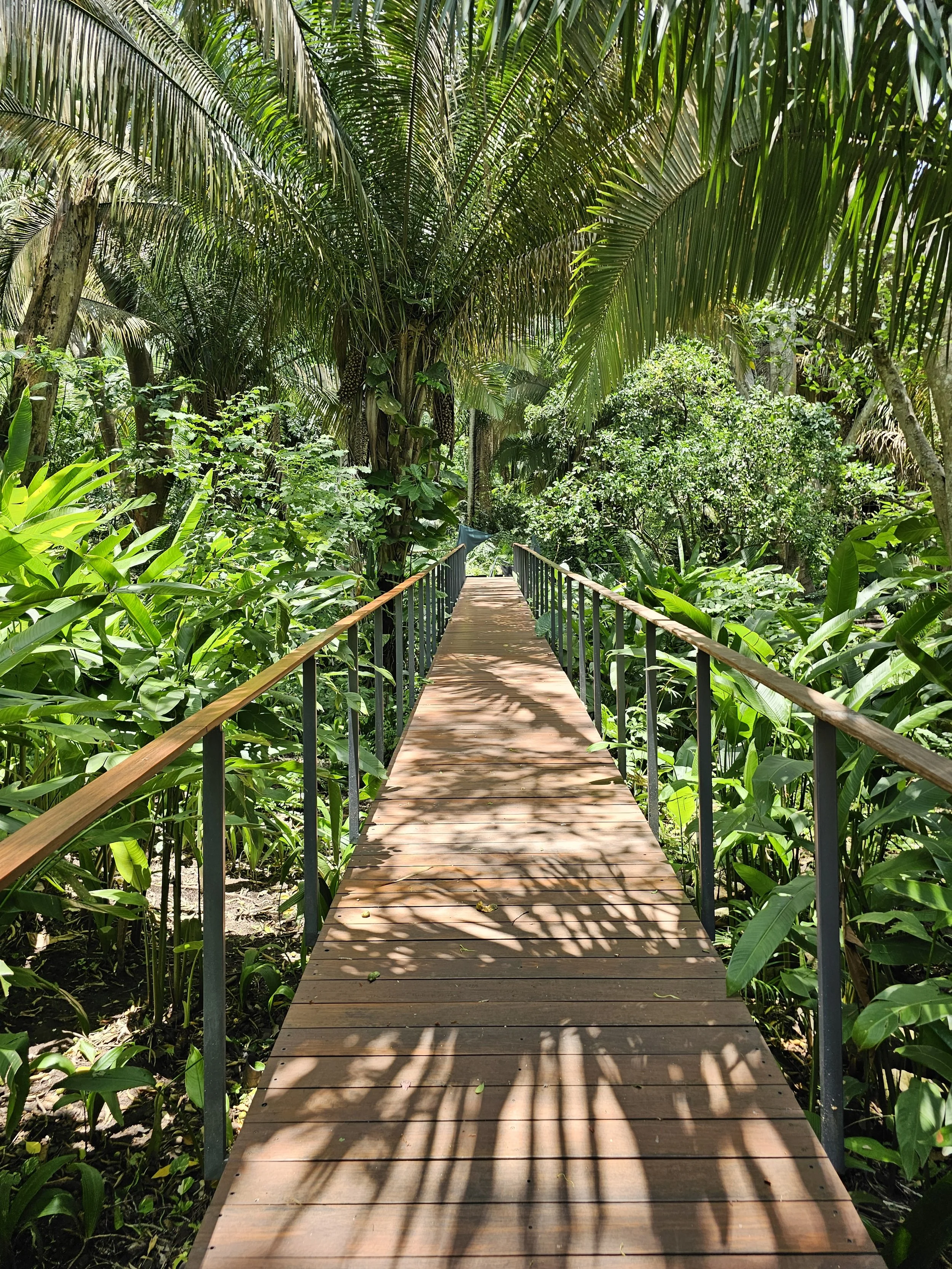 Mandarina Spa Bridge.jpg