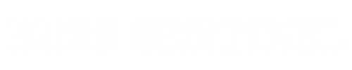 Buzz Sentinel Logo V2.png