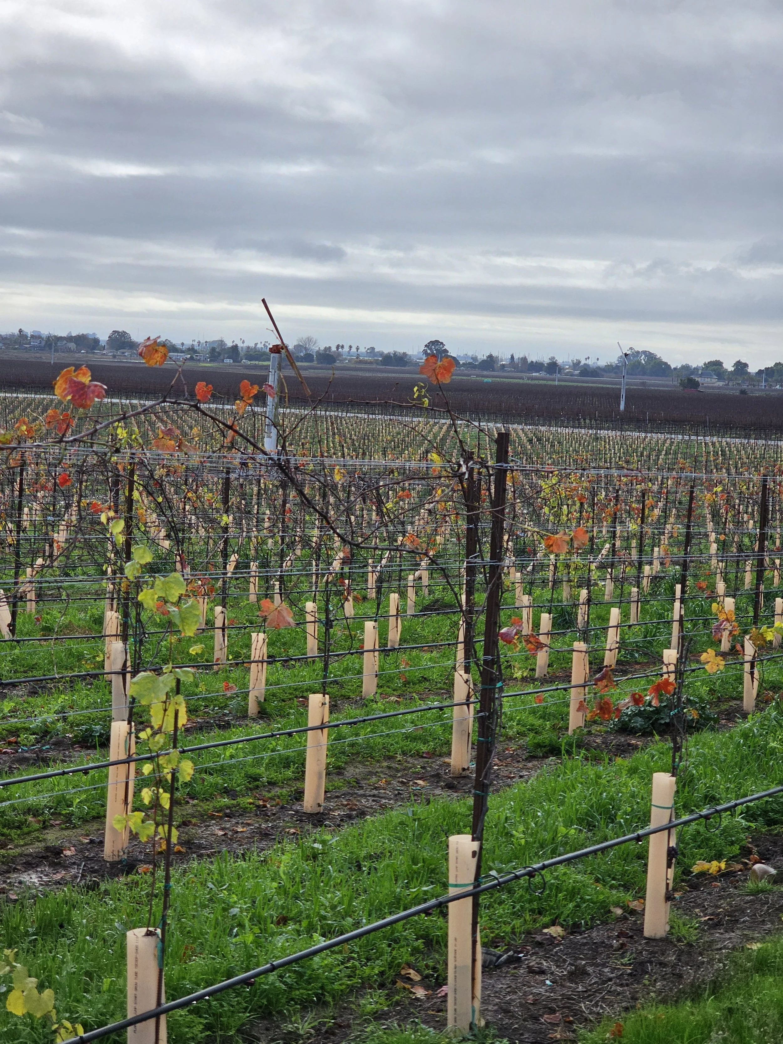 Where to Stay in Napa Valley