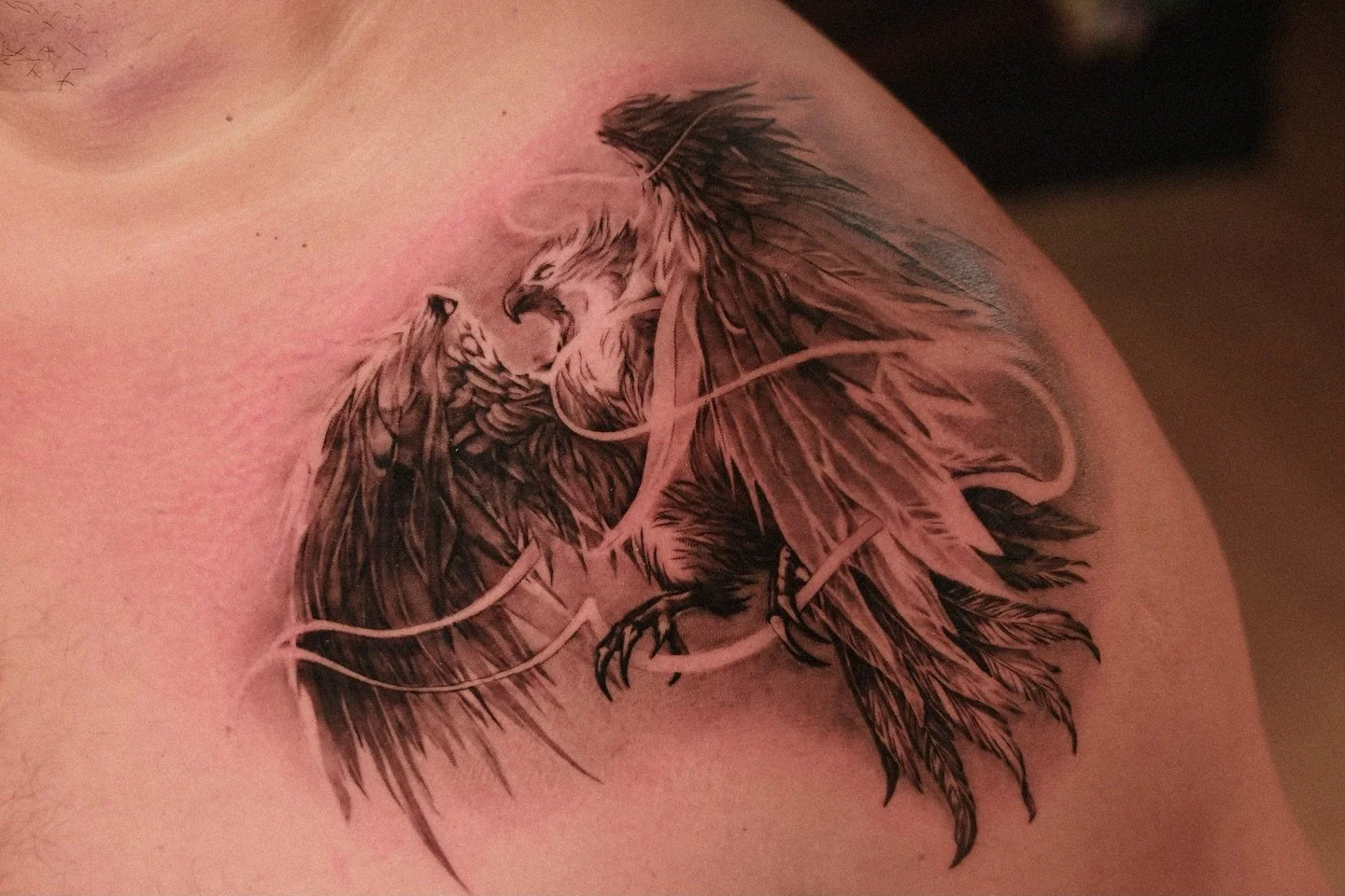 Phoenix.
Vancouver: dm for book an appointment 
.
#phoenixtattoo #yvrtattoo #vancouvertattoo #blackngreytattoo