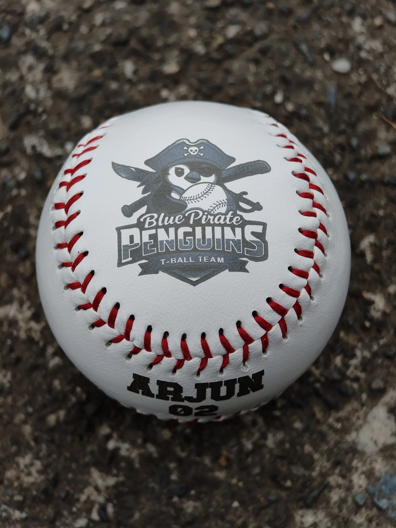 UV laser engraved baseball with team logo