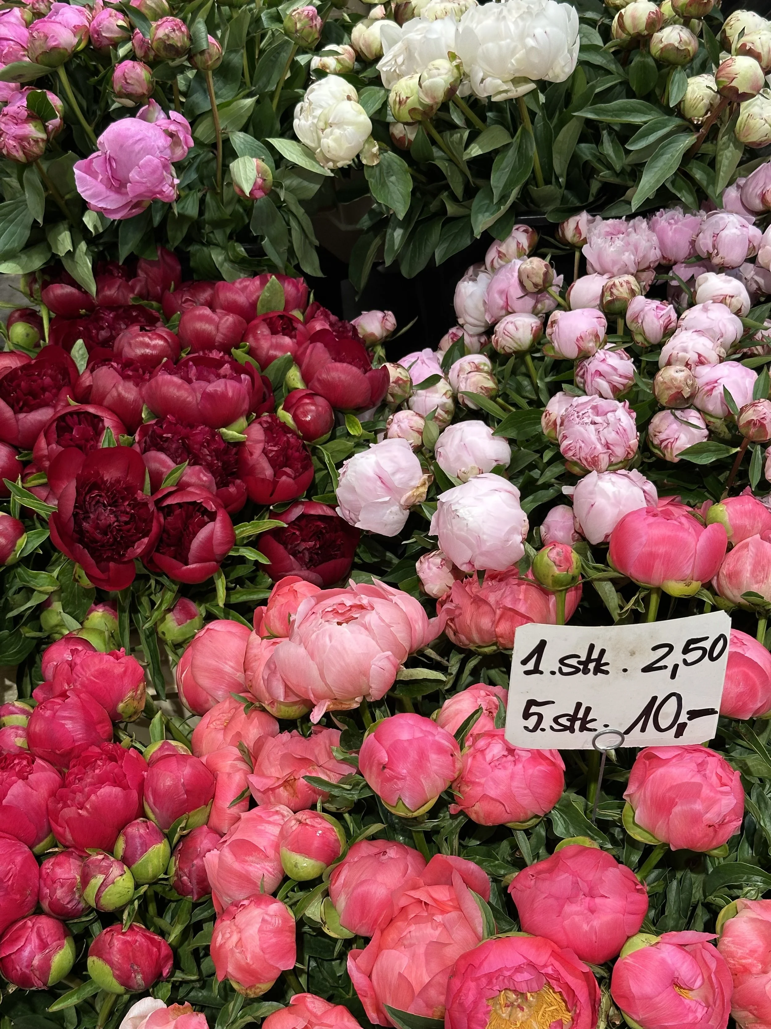 Writing The Mundane: A Four Week Workshop