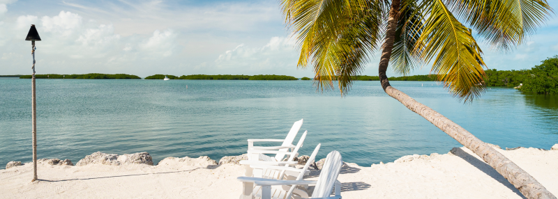 The past week or two have been CRAZY! 