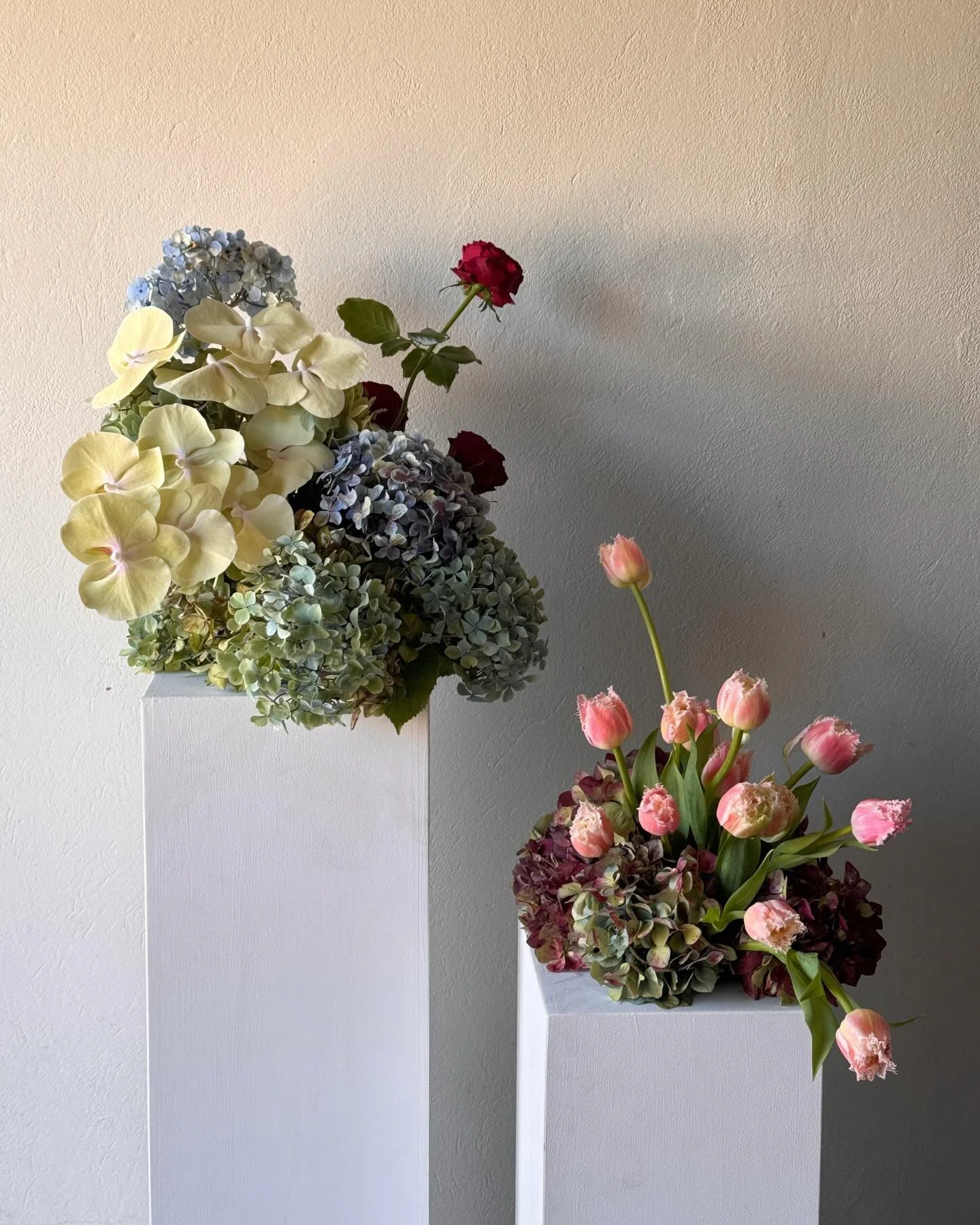 Autumn in the studio 💘