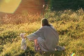 Sermon for February 8th