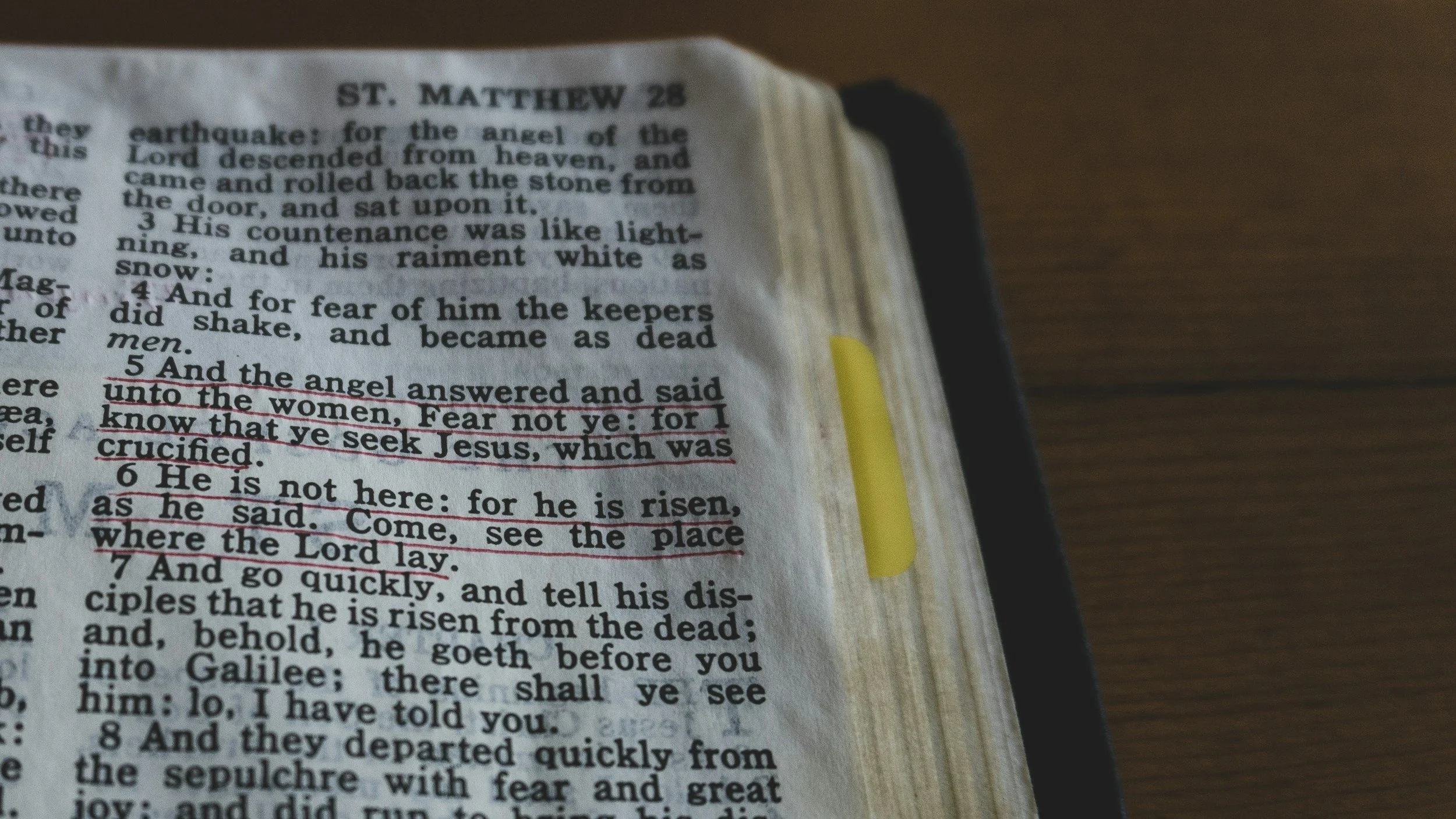 Bible Study