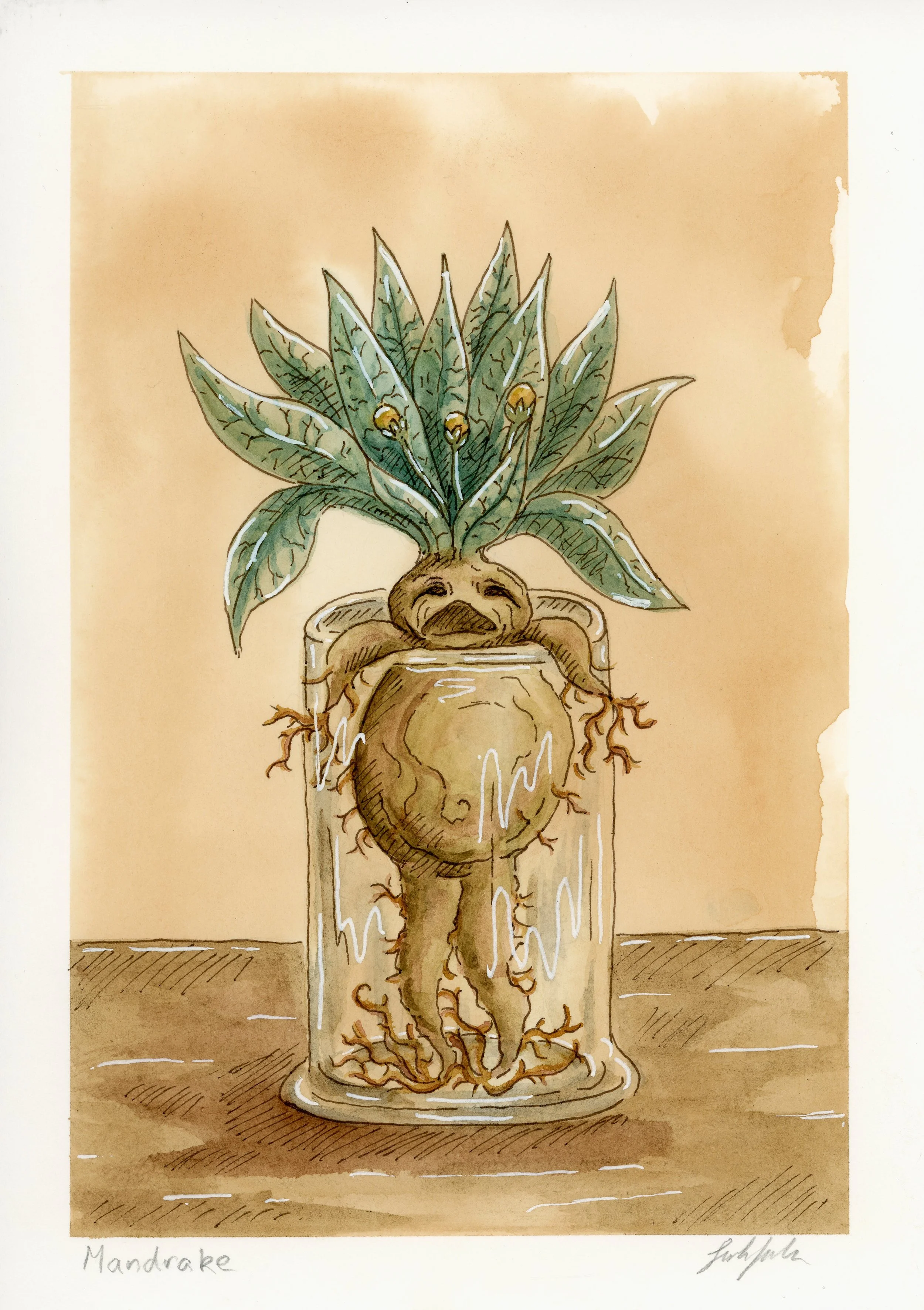 Frida Knoke (600dpi) 015.jpg