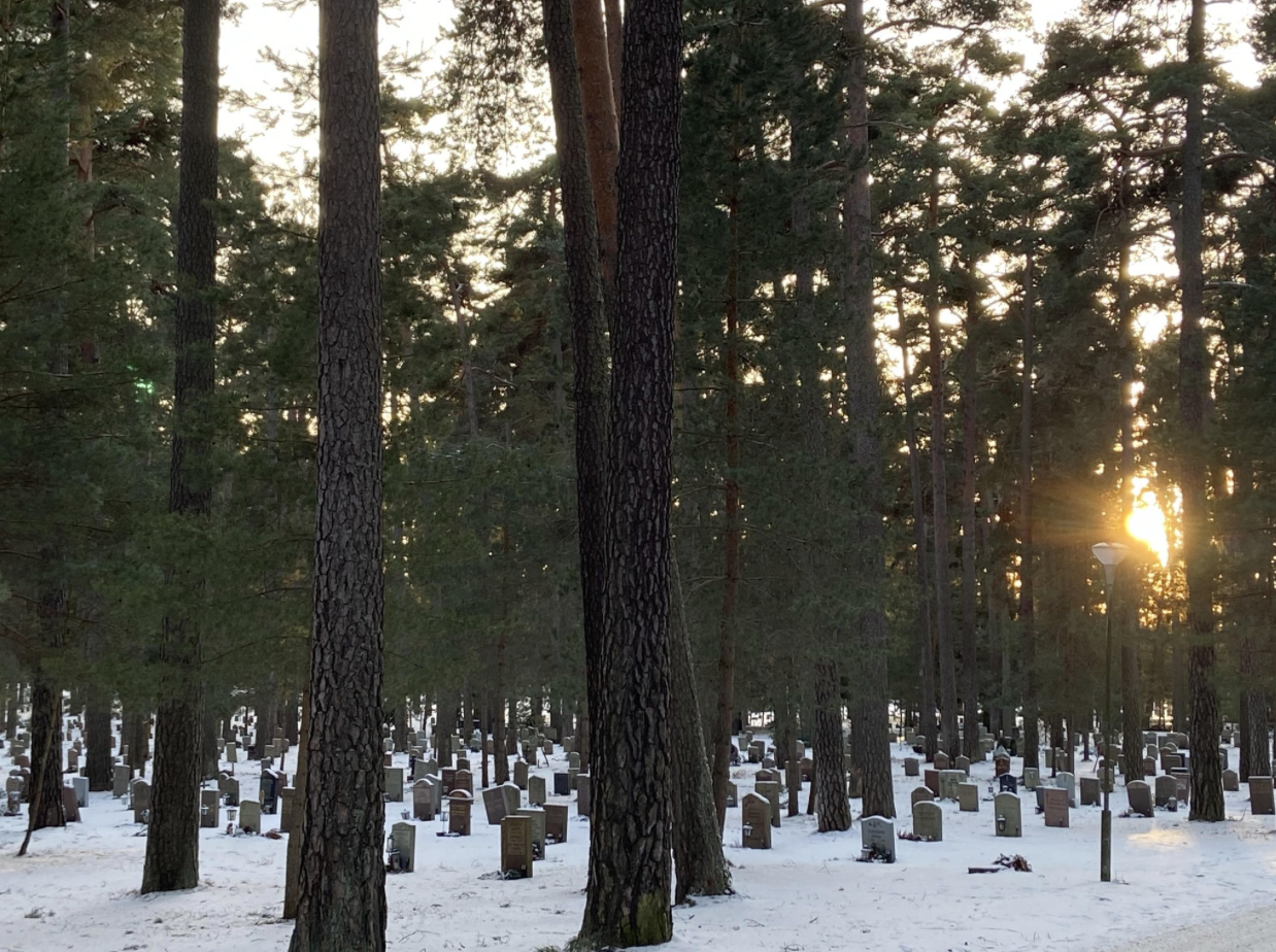 Screenshot 2026-08-04 at 2.54.42 PM.png