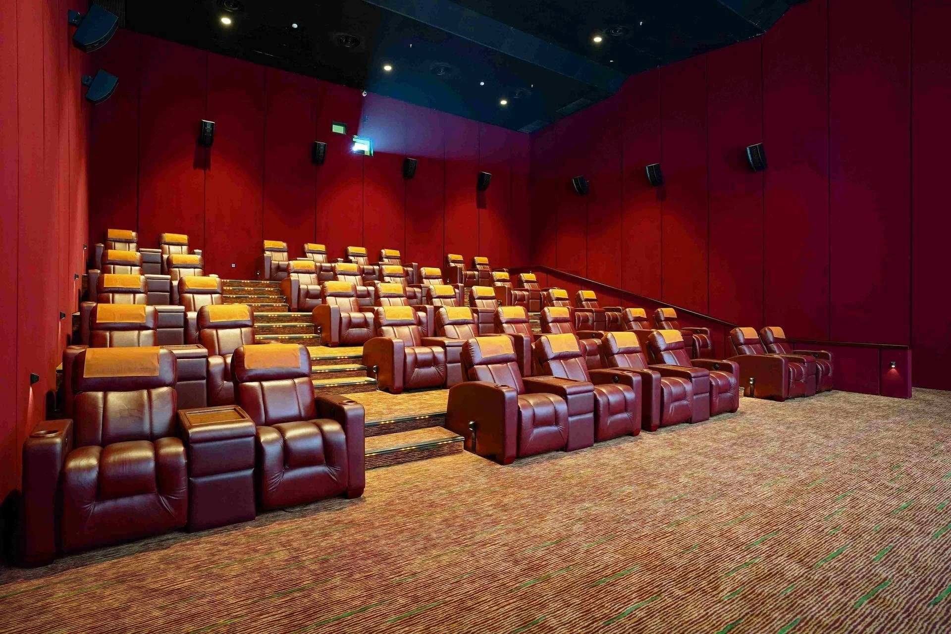 cinema xxi-printed-nylon-carpet-indonesia-cinema-custom-1.jpeg