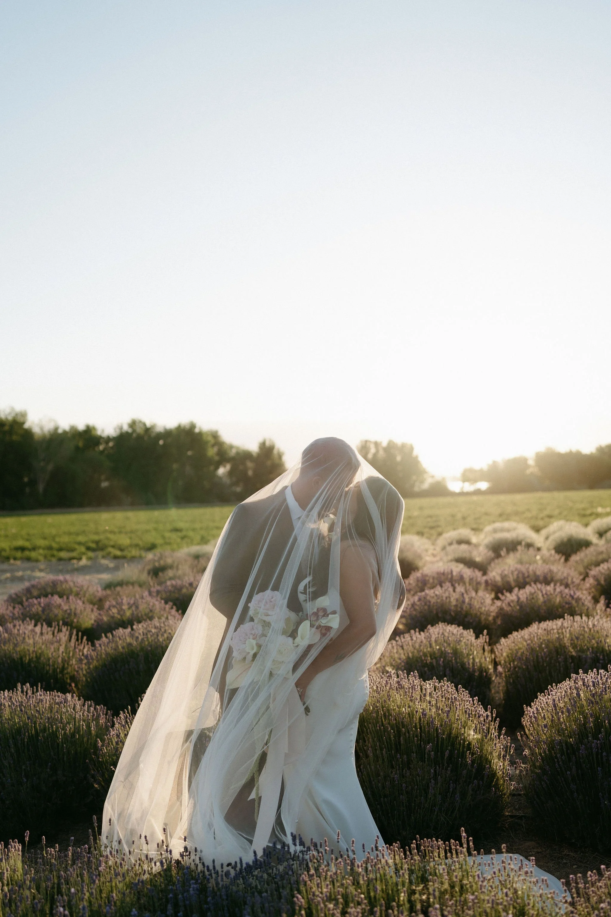 A bride holding a bouquet of white flowers standing in a lavender field during sunset.