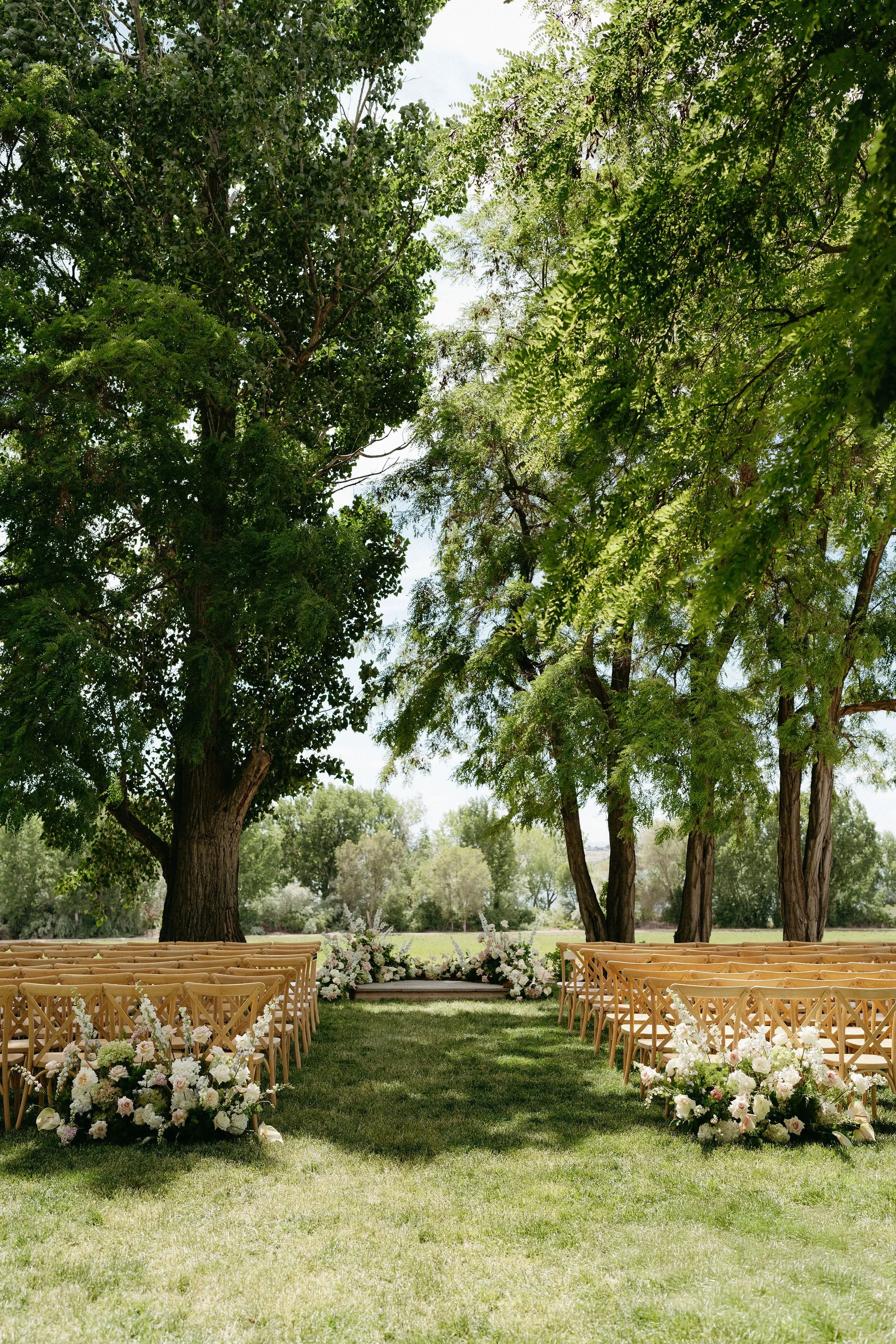 Outdoor wedding setup with rows of wooden chairs and floral decorations under large green trees on a sunny day.