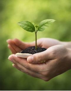 ✅Day 2 – Small Actions