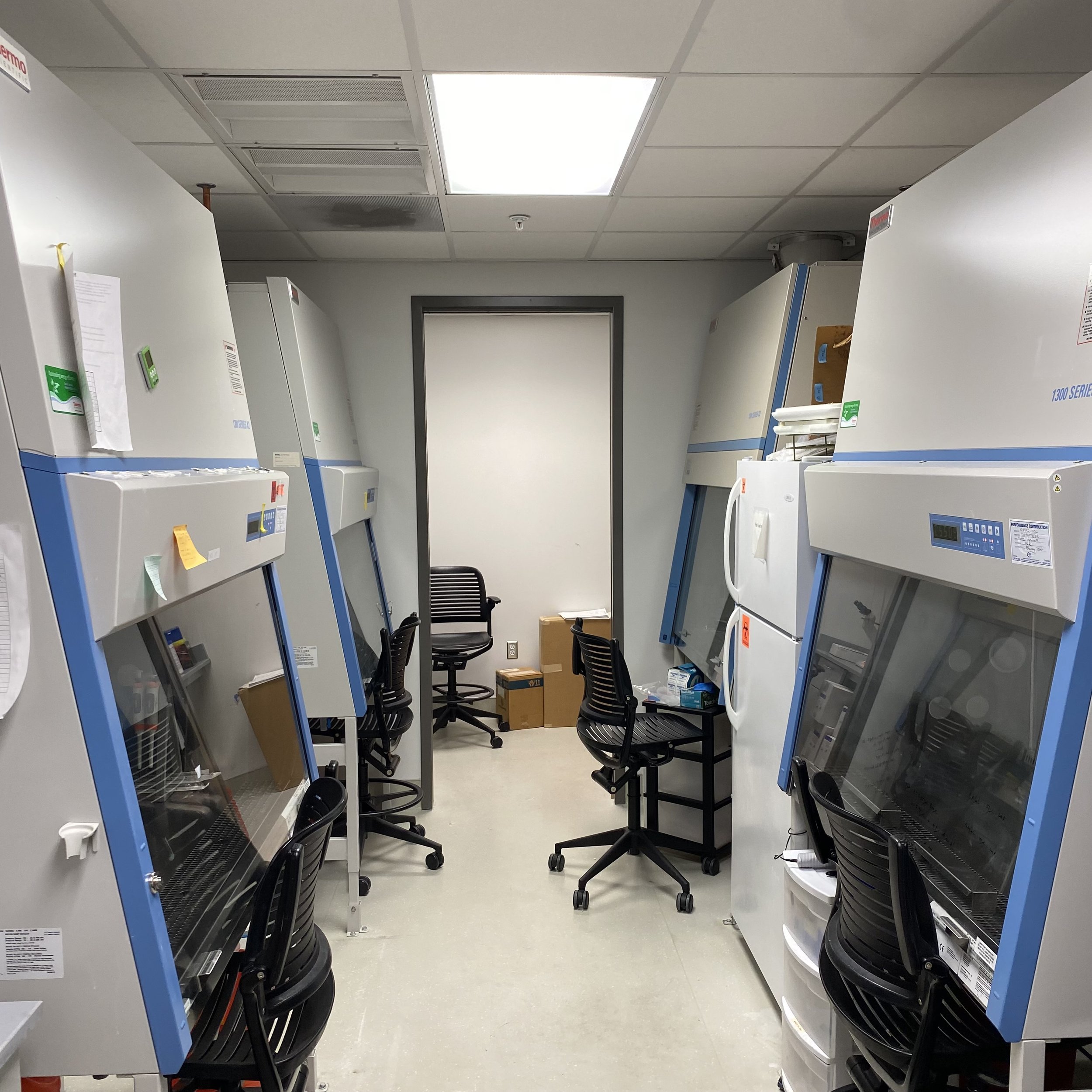 Lab - Area #4: Cell Culture Room