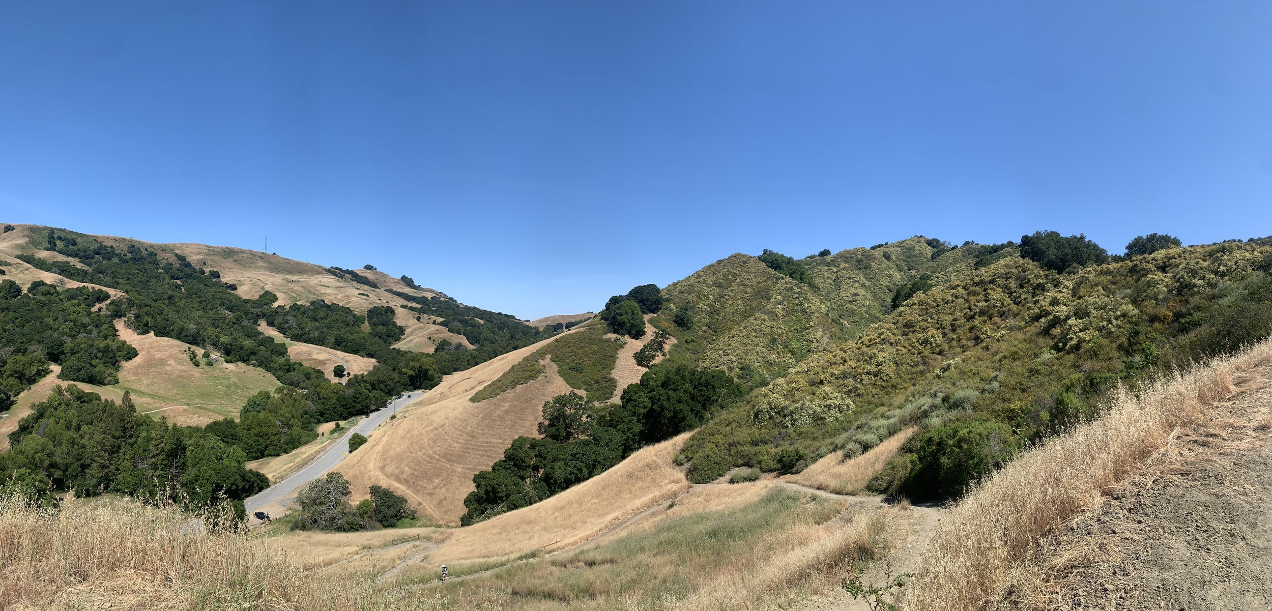 IMG_8933.jpeg