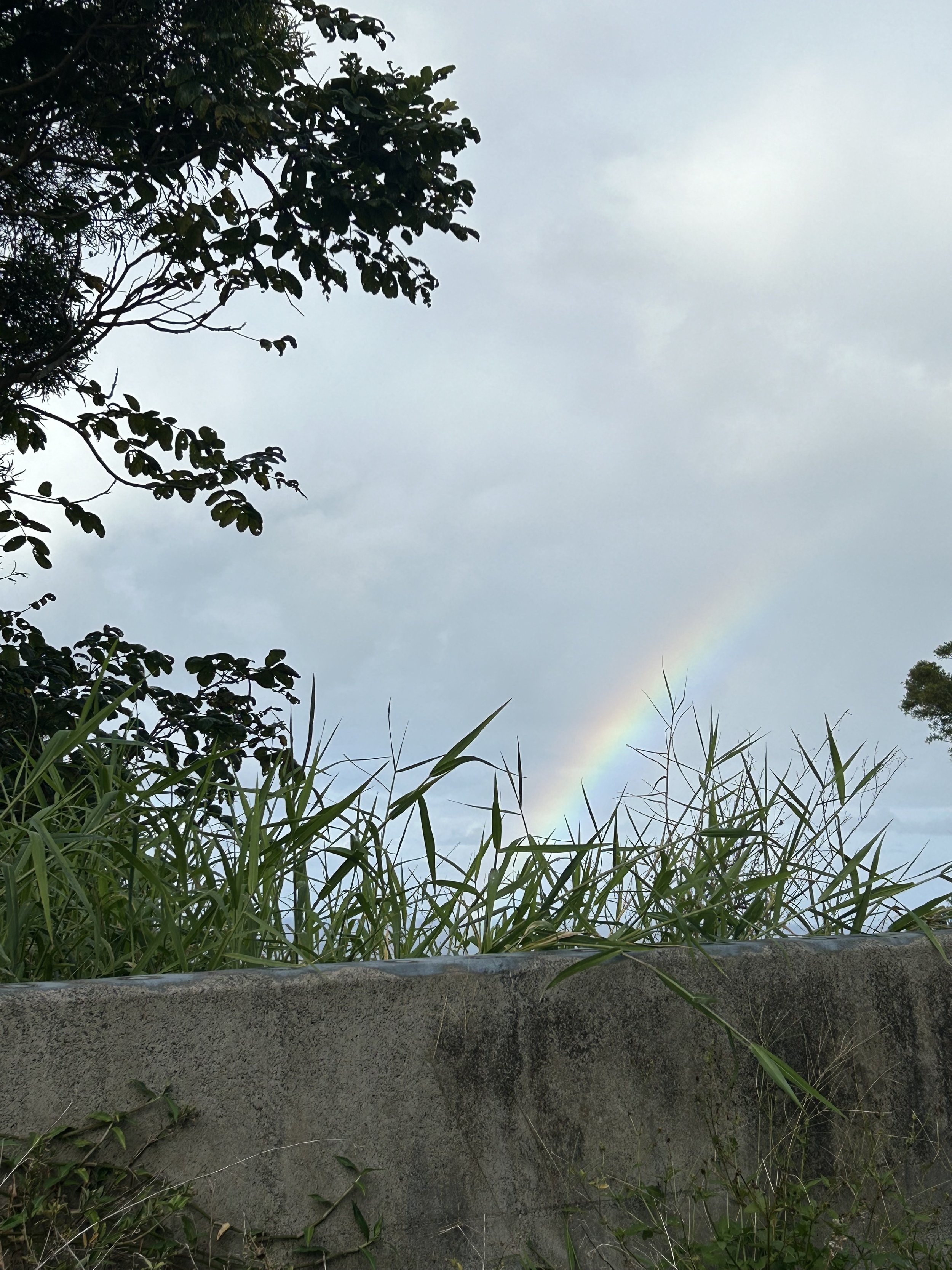 IMG_8838.jpeg