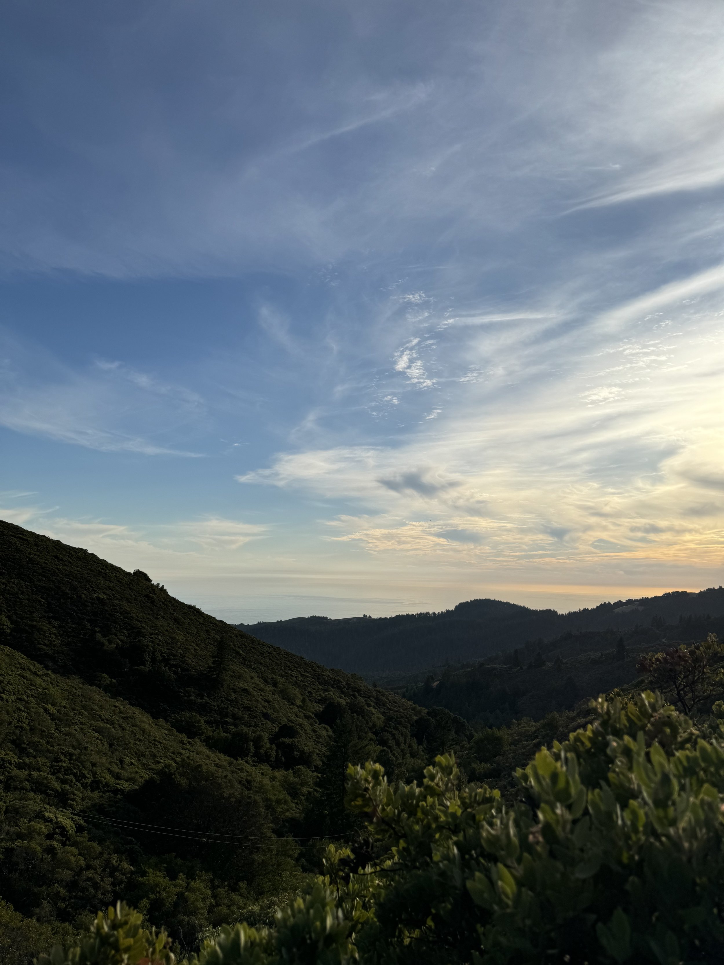 IMG_0584.jpeg