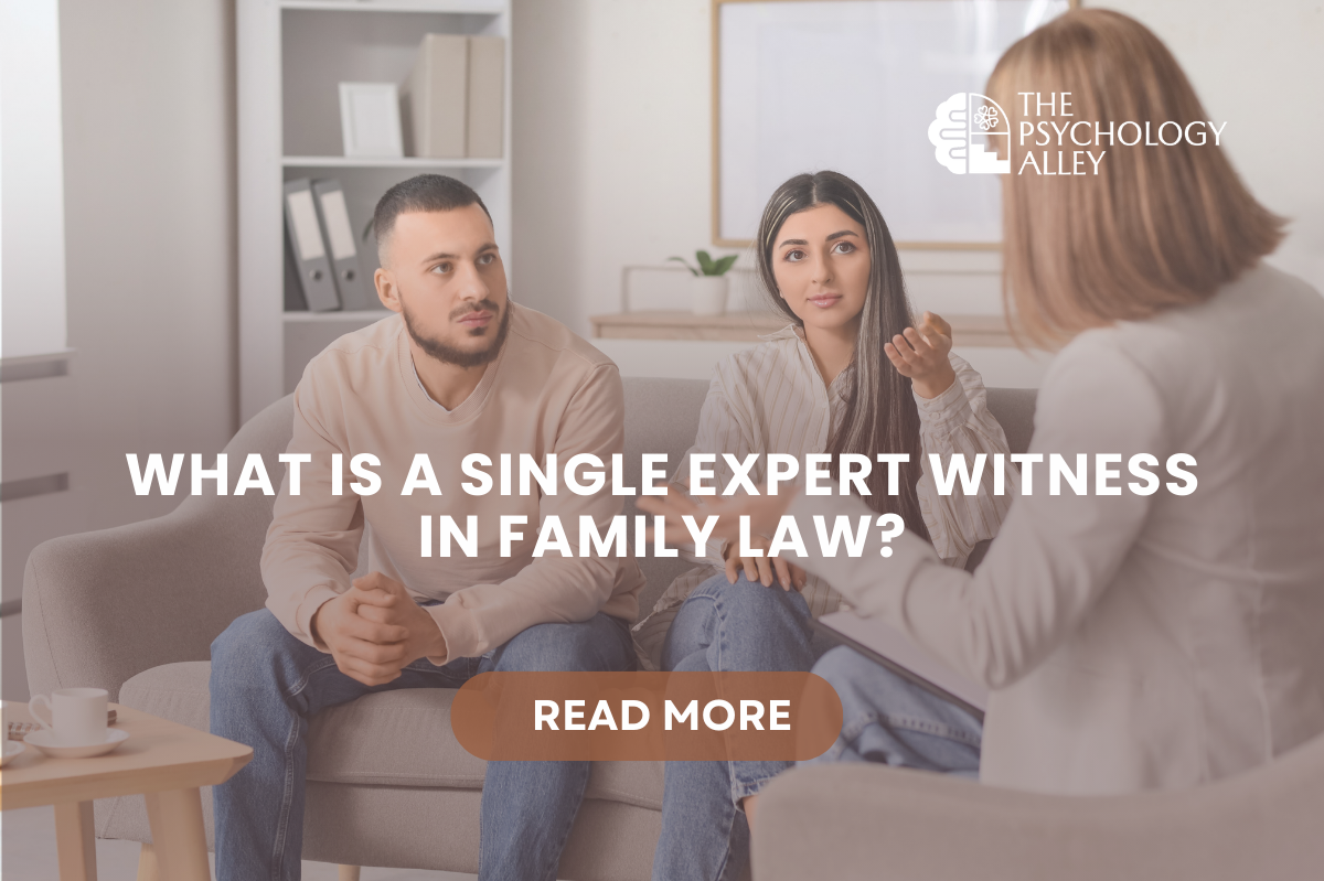 What is a Single Expert Witness in Family Law?