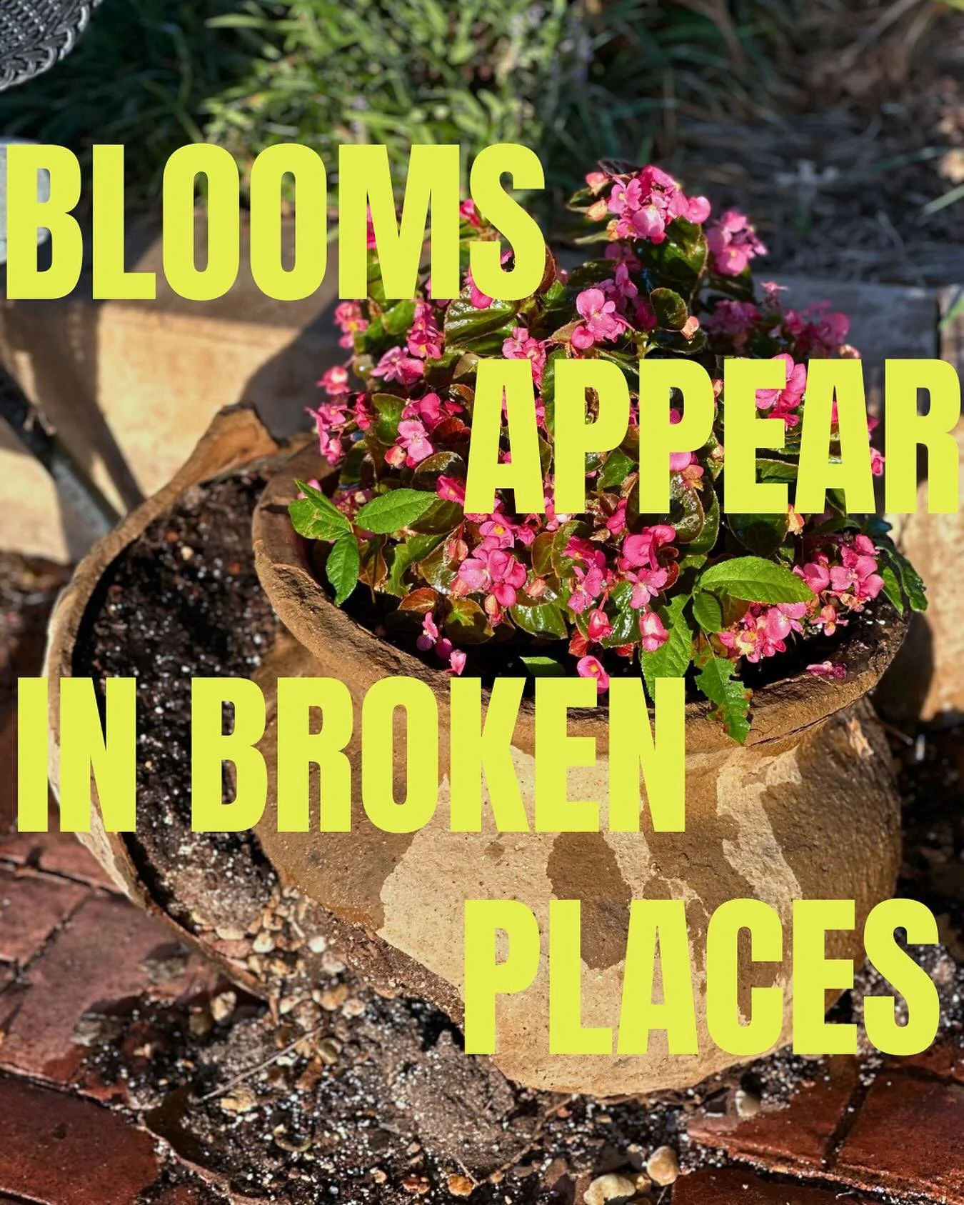 Because blooms still appear in the broken places

I&rsquo;m not exactly sure how it happened &mdash; a storm, constant movement, or just the wearing down of time &mdash; but I have this flower pot in my backyard that is broken. It&rsquo;s not slightl
