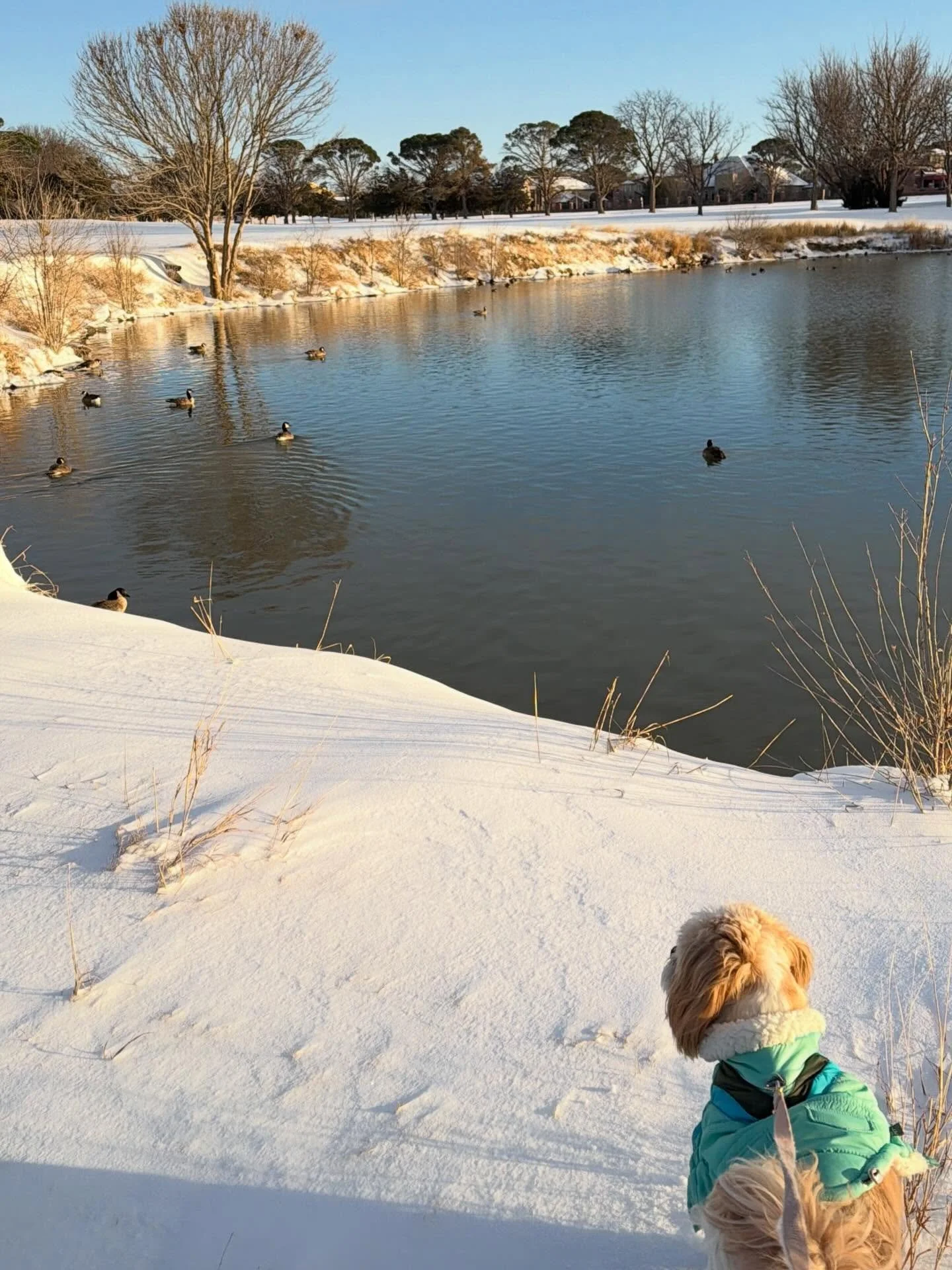 Let&rsquo;s talk about the joys of January!

❄️- Snow - lots of snow!

🇪🇪-We sent Selah off to Estonia where she encountered more snow than I can fathom

🙏🏻- 21 Days of Prayer was Challenging but rewarding

🎥 - I even learned how to run cameras
