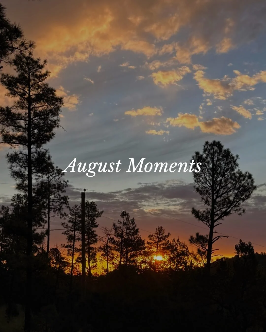 August held a lot. 🤍

A book released into the world.
Two girls went back to school.
Volleyball and cheer kicked back into full swing.
There was a high school retreat, lots of car rides, full calendars, and probably not enough sleep. 😂

And woven t